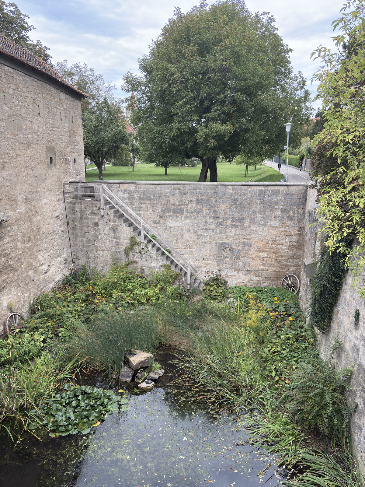 Picture Germany Rothenburg ob der Tauber⁩ 2025-09 70 - Picture Rothenburg ob der Tauber⁩