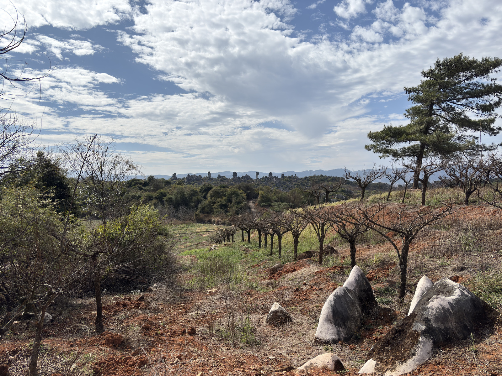 Picture China Shilin Stone Forest 2026-01 106 - Tourist Attraction Shilin Stone Forest