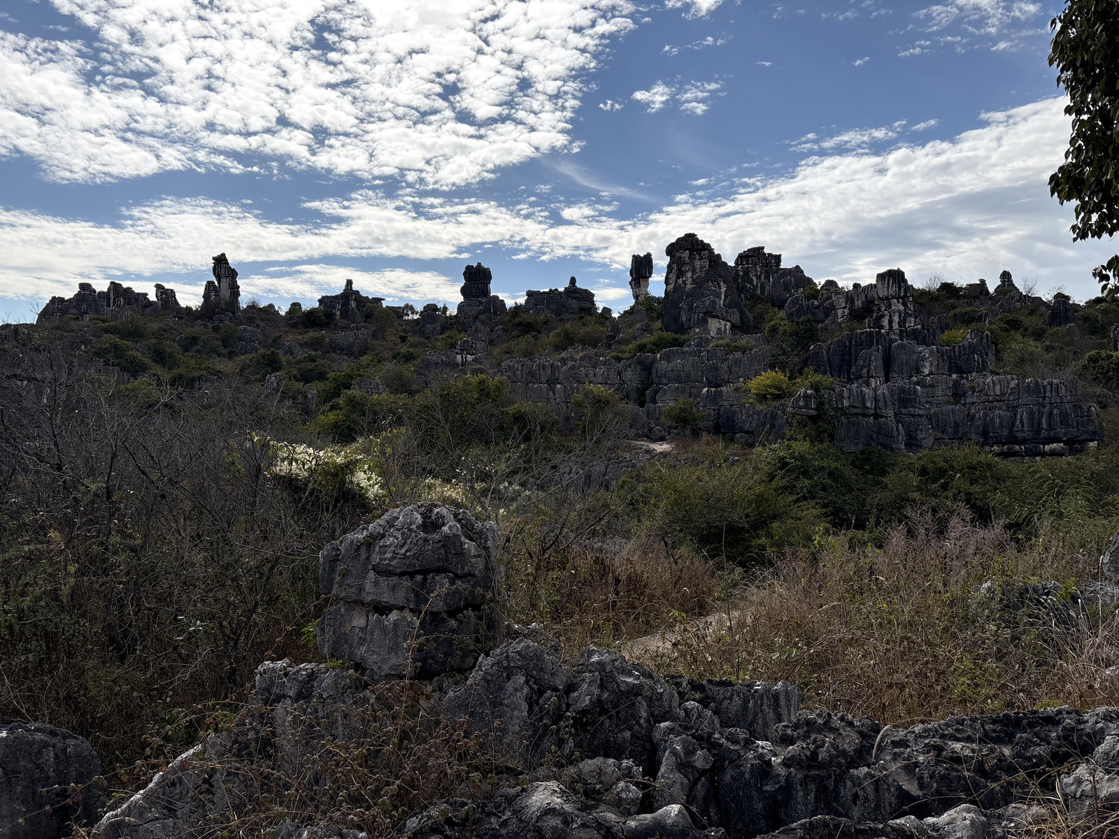 Picture China Shilin Stone Forest 2026-01 355 - Car Rental Shilin Stone Forest