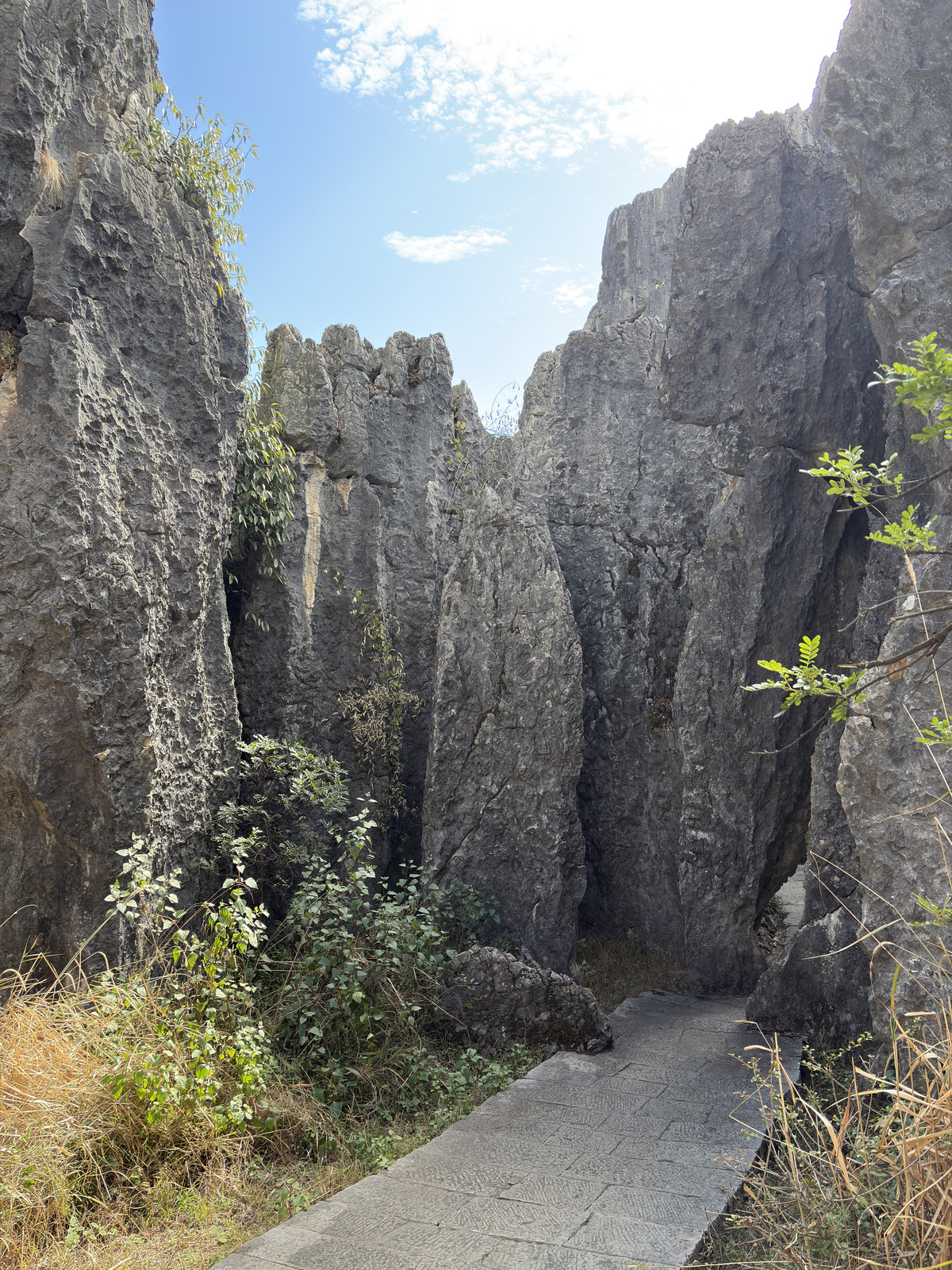 Picture China Shilin Stone Forest 2026-01 319 - Flights Shilin Stone Forest