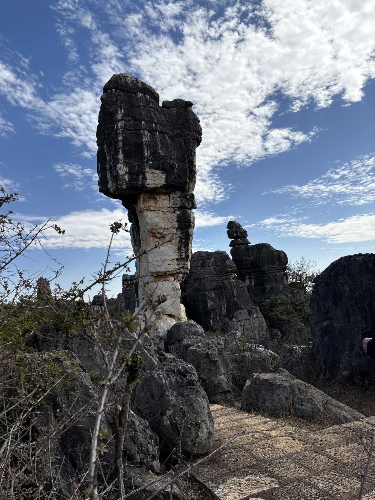 Picture China Shilin Stone Forest 2026-01 328 - Photographer Shilin Stone Forest