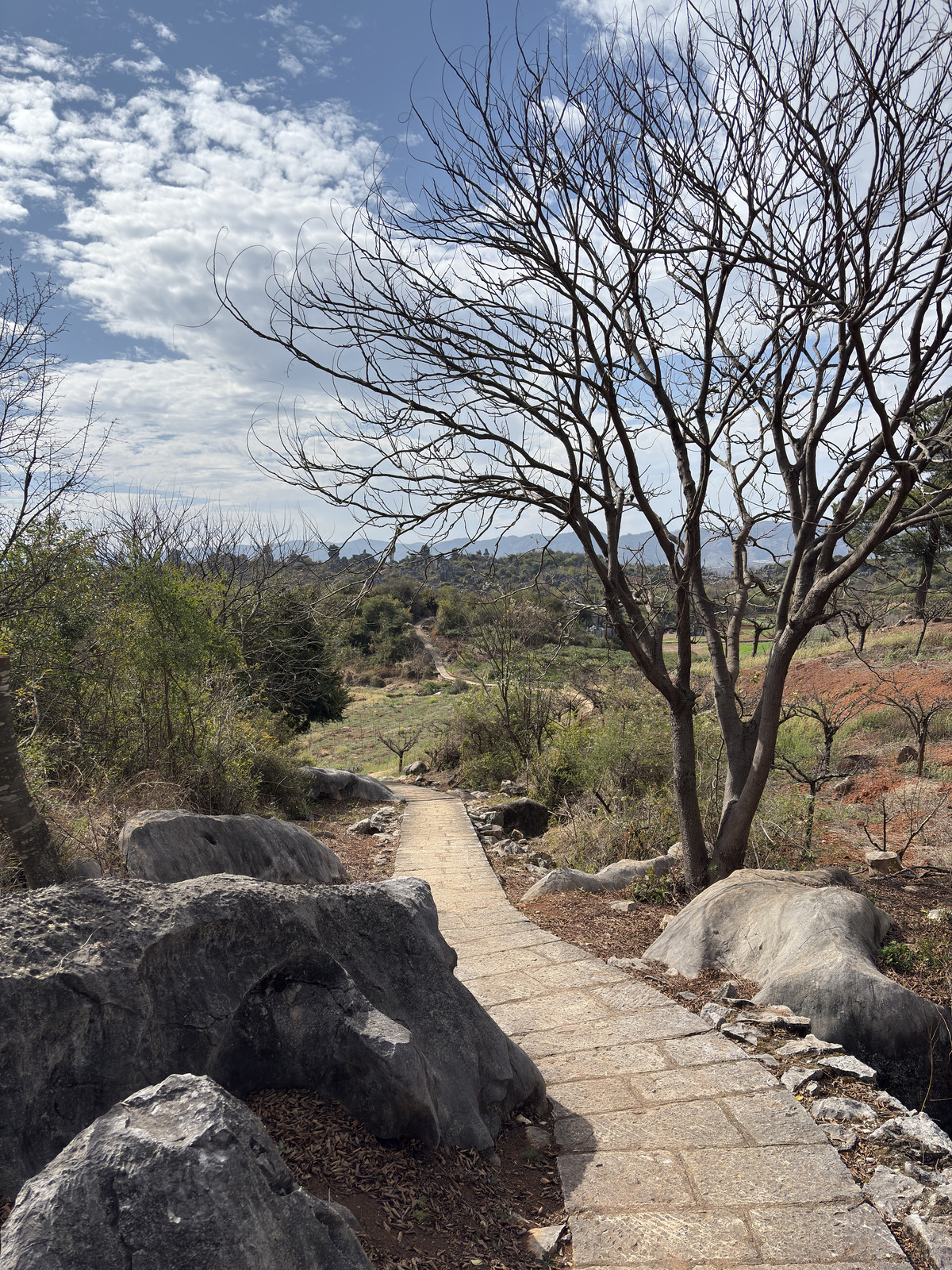 Picture China Shilin Stone Forest 2026-01 205 - Pictures Shilin Stone Forest
