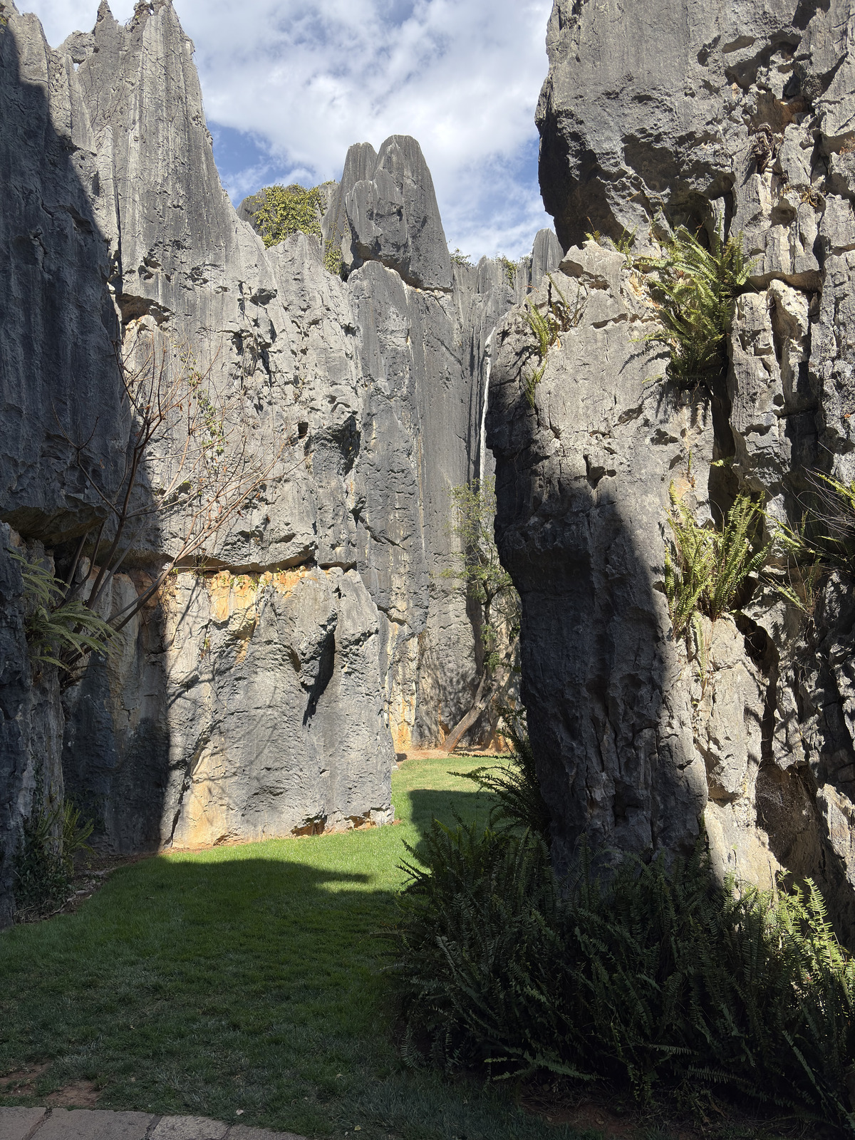 Picture China Shilin Stone Forest 2026-01 266 - Road Shilin Stone Forest