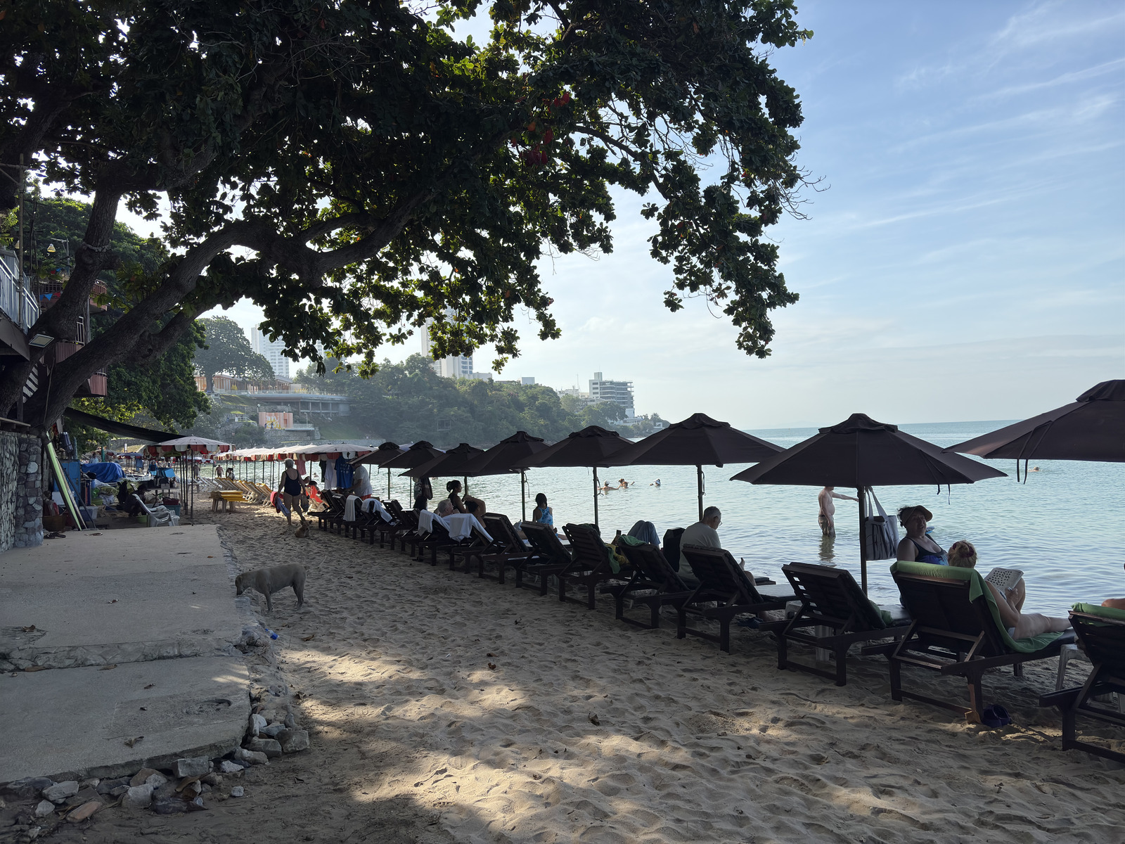 Picture Thailand Pattaya 2024-12 36 - Trips Pattaya