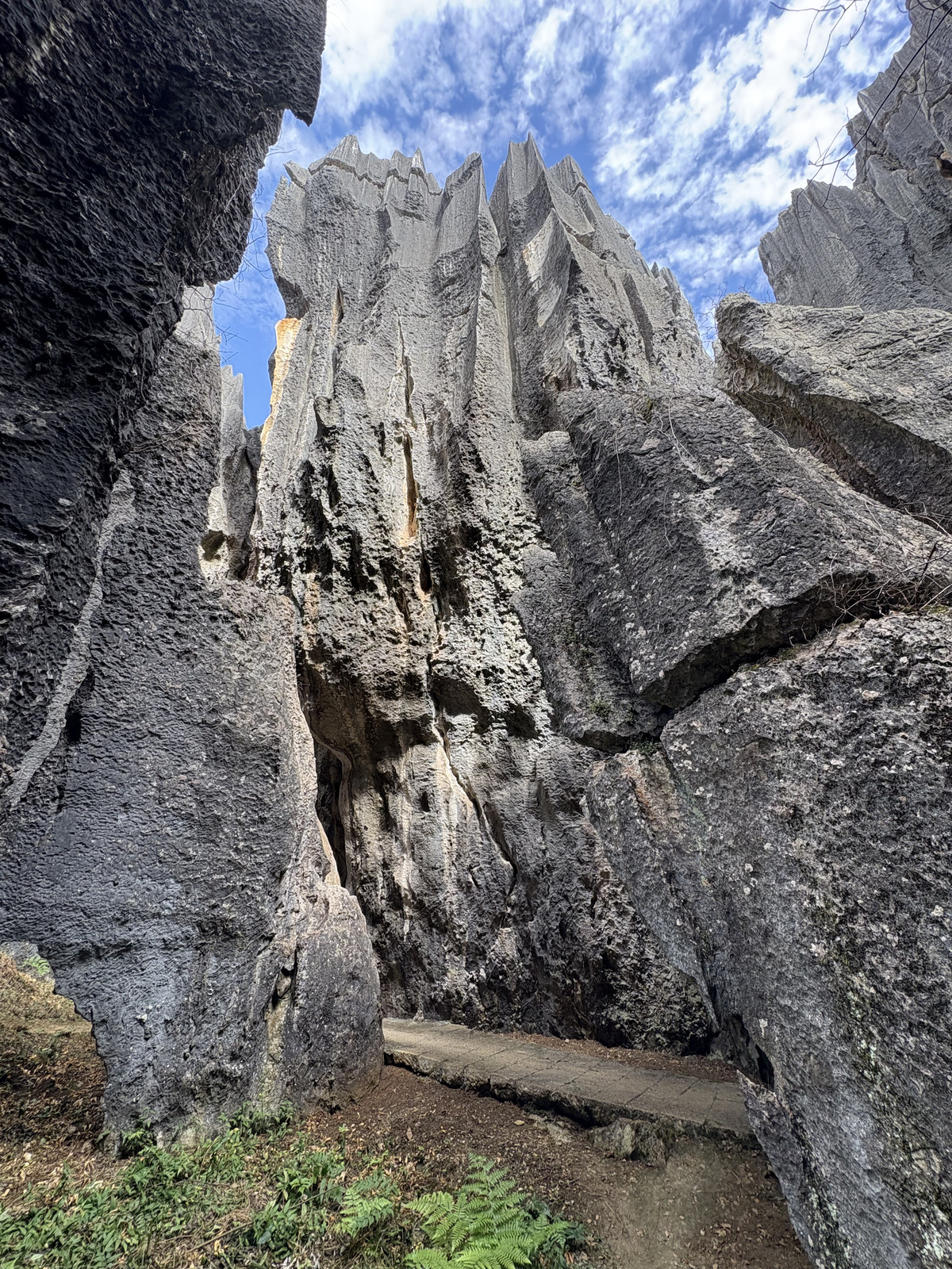 Picture China Shilin Stone Forest 2026-01 257 - Pictures Shilin Stone Forest
