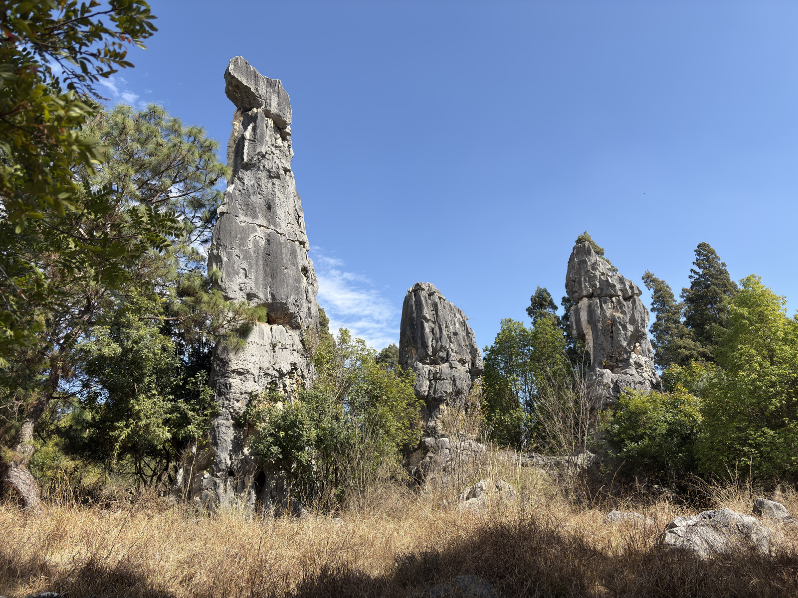 Picture China Shilin Stone Forest 2026-01 347 - Discover Shilin Stone Forest