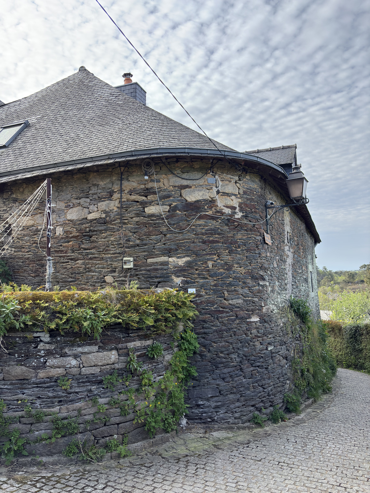 Picture France Rochefort en terre 2026-04 73 - Trip Rochefort en terre