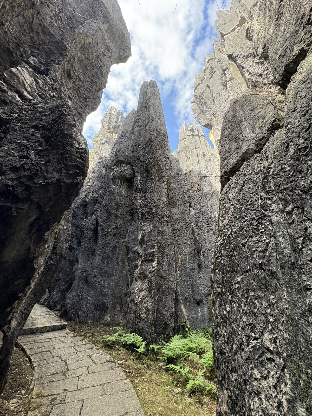 Picture China Shilin Stone Forest 2026-01 246 - Photographer Shilin Stone Forest