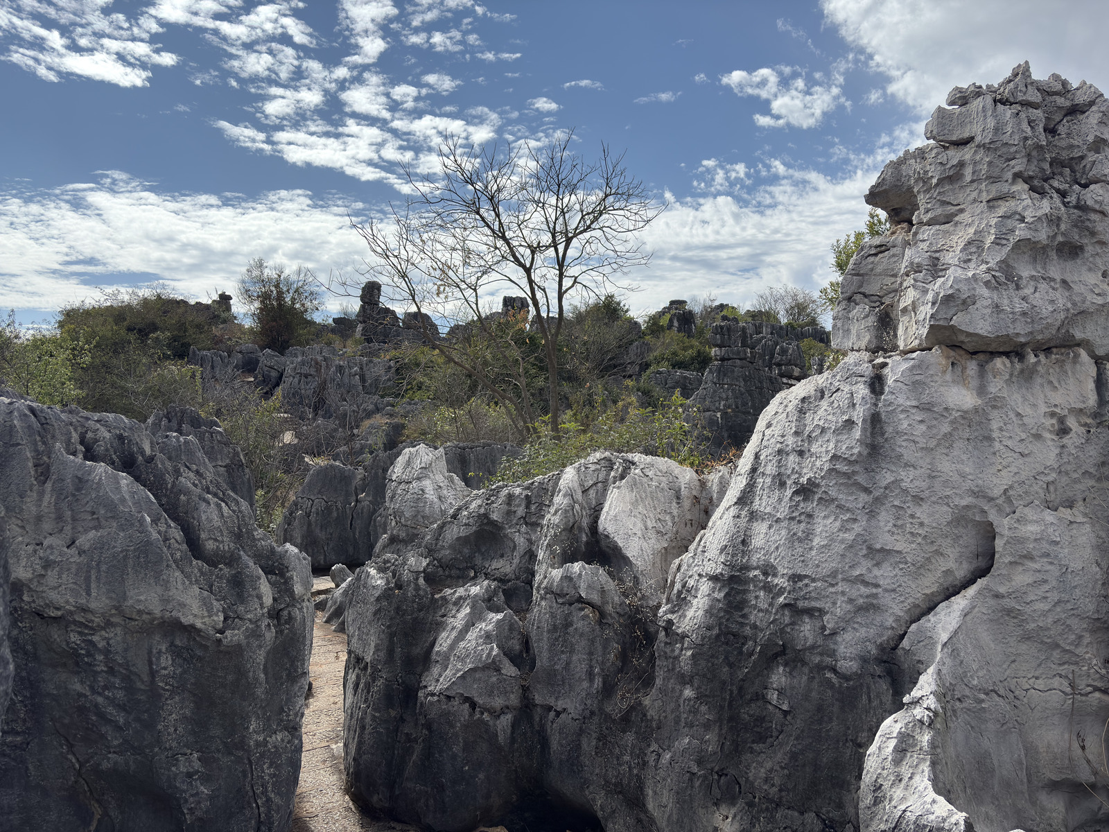 Picture China Shilin Stone Forest 2026-01 130 - Flights Shilin Stone Forest