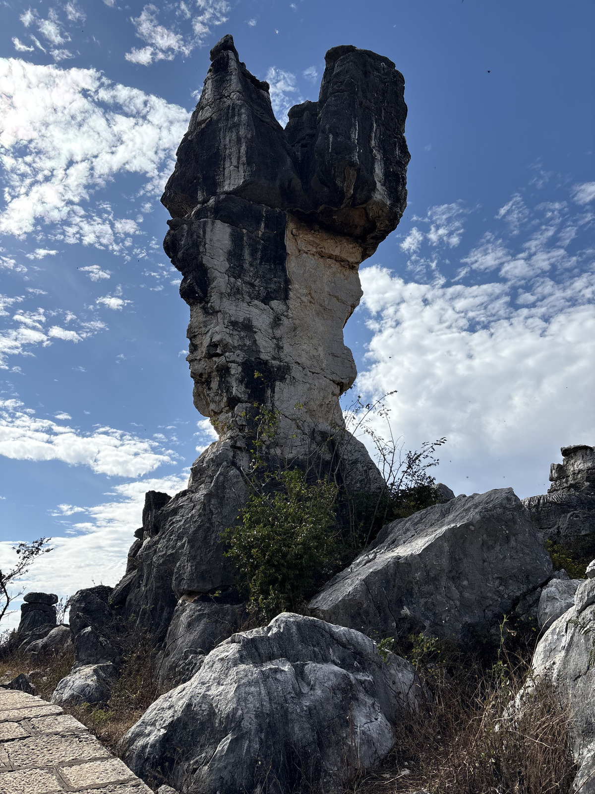 Picture China Shilin Stone Forest 2026-01 46 - Sight Shilin Stone Forest