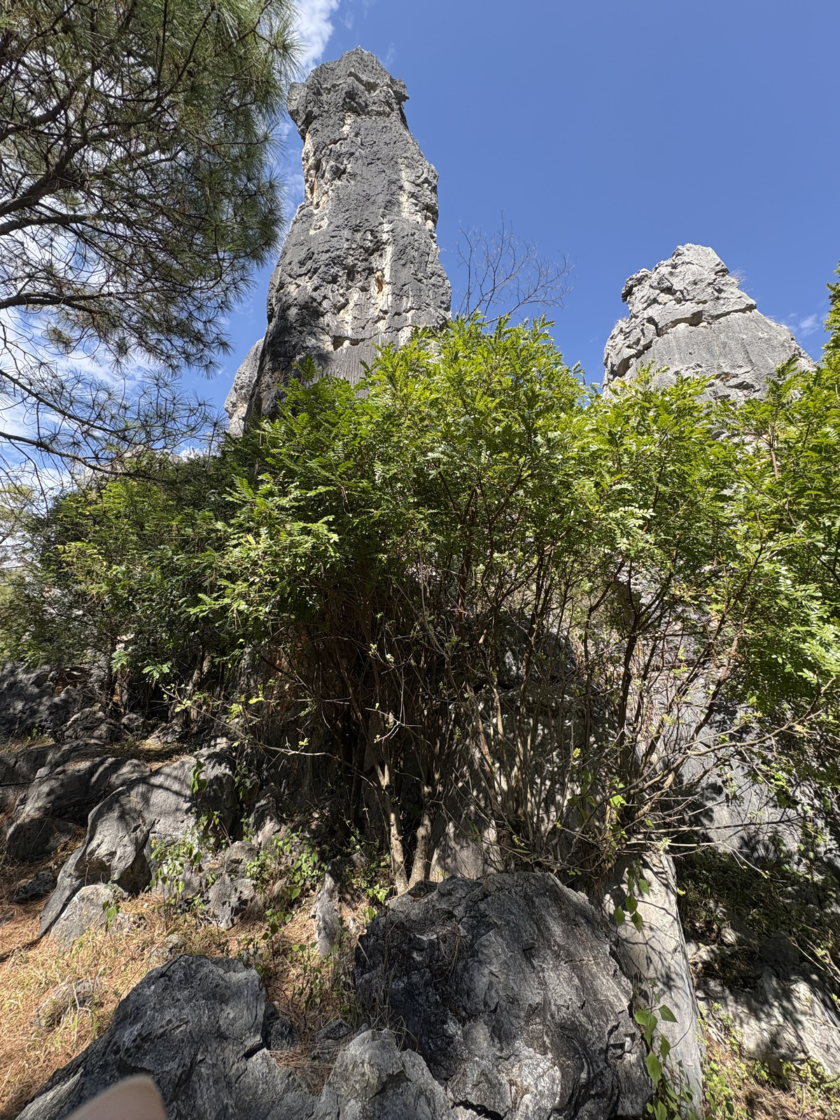 Picture China Shilin Stone Forest 2026-01 354 - Photos Shilin Stone Forest