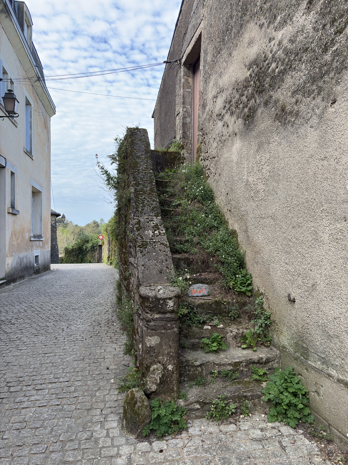 Picture France Rochefort en terre 2026-04 3 - Randonee Rochefort en terre