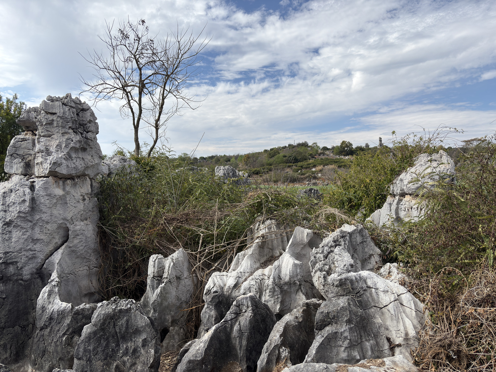 Picture China Shilin Stone Forest 2026-01 158 - Photo Shilin Stone Forest