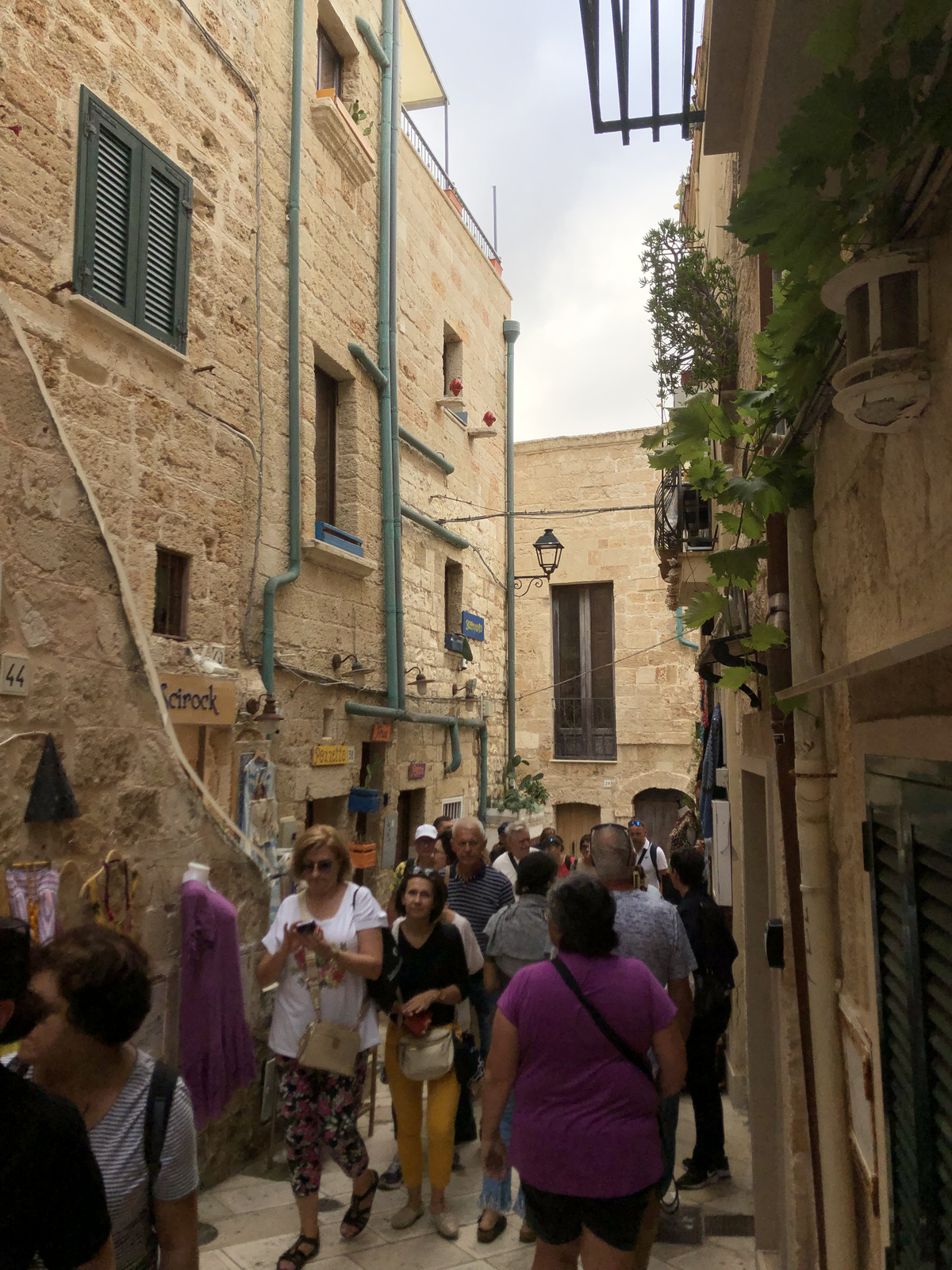 Picture Italy Polignano a mare 2024-09 6 - Pictures Polignano a mare