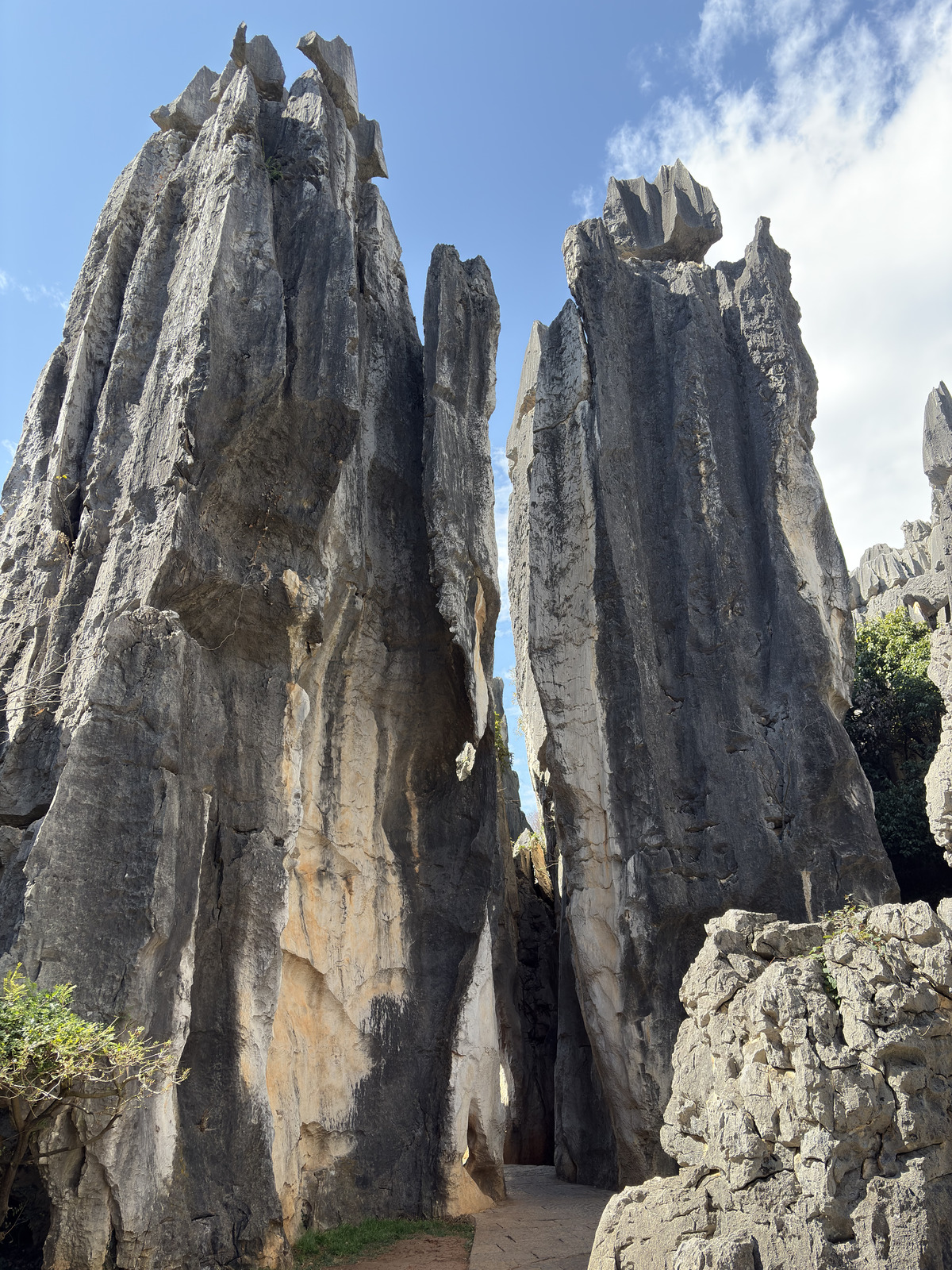 Picture China Shilin Stone Forest 2026-01 82 - Photos Shilin Stone Forest