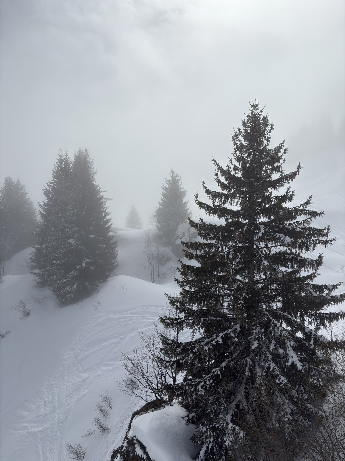 Picture France Praz sur Arly 2025-02 22 - Map Praz sur Arly