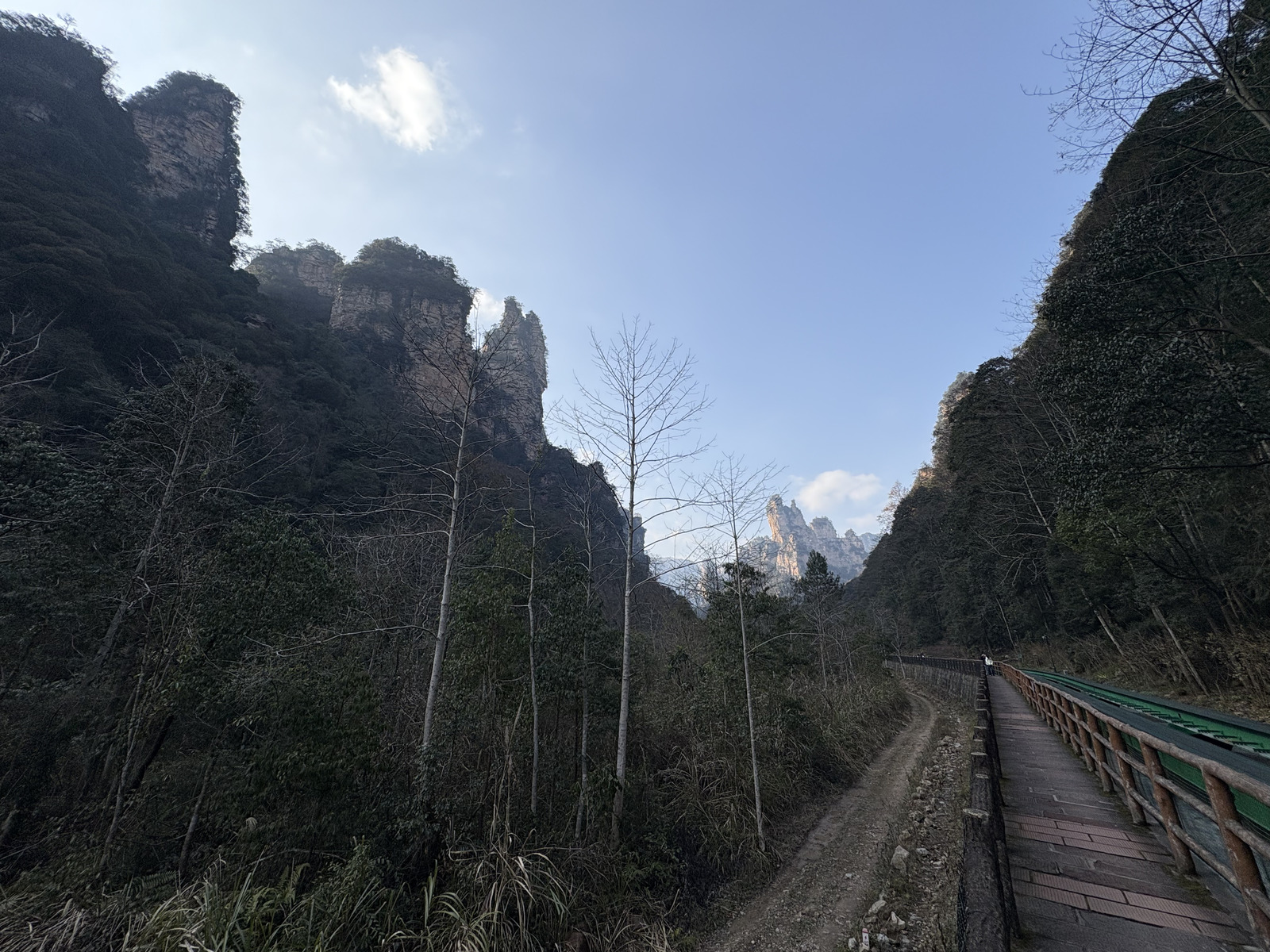 Picture China Zhangjiajie Tianzi Mountrain 2026-01 334 - Photos Tianzi Mountrain