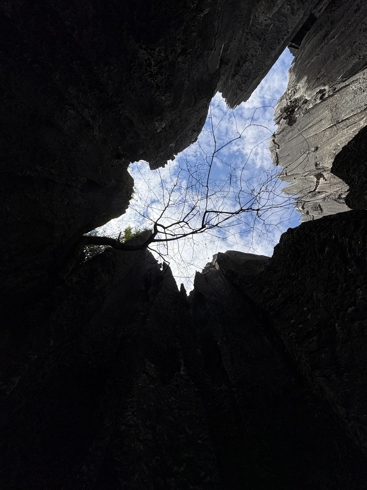 Picture China Shilin Stone Forest 2026-01 89 - Trip Shilin Stone Forest