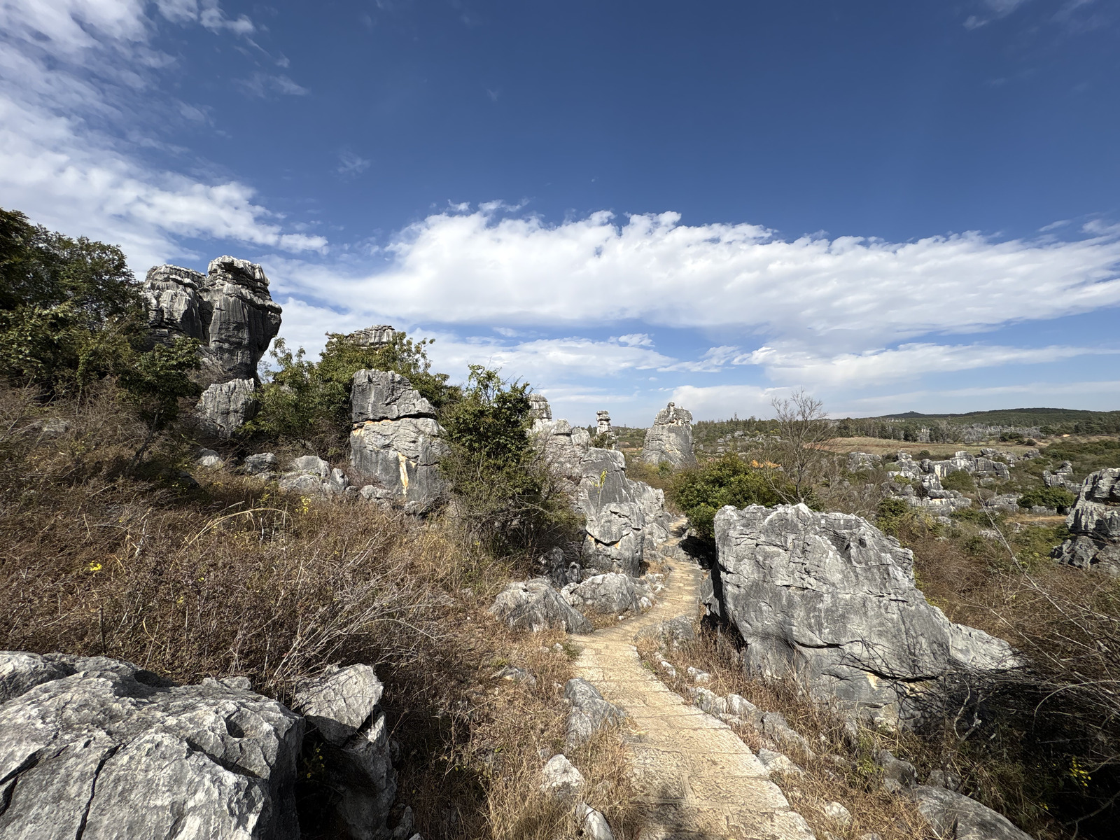 Picture China Shilin Stone Forest 2026-01 370 - Photos Shilin Stone Forest