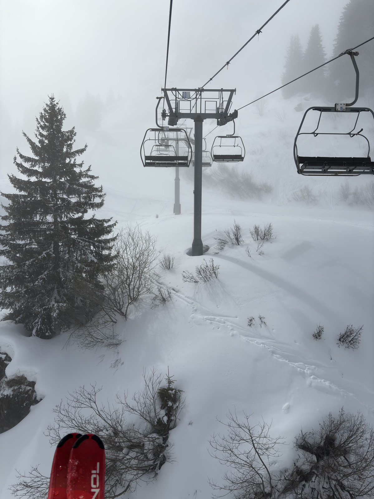 Picture France Praz sur Arly 2025-02 2 - Sightseeing Praz sur Arly
