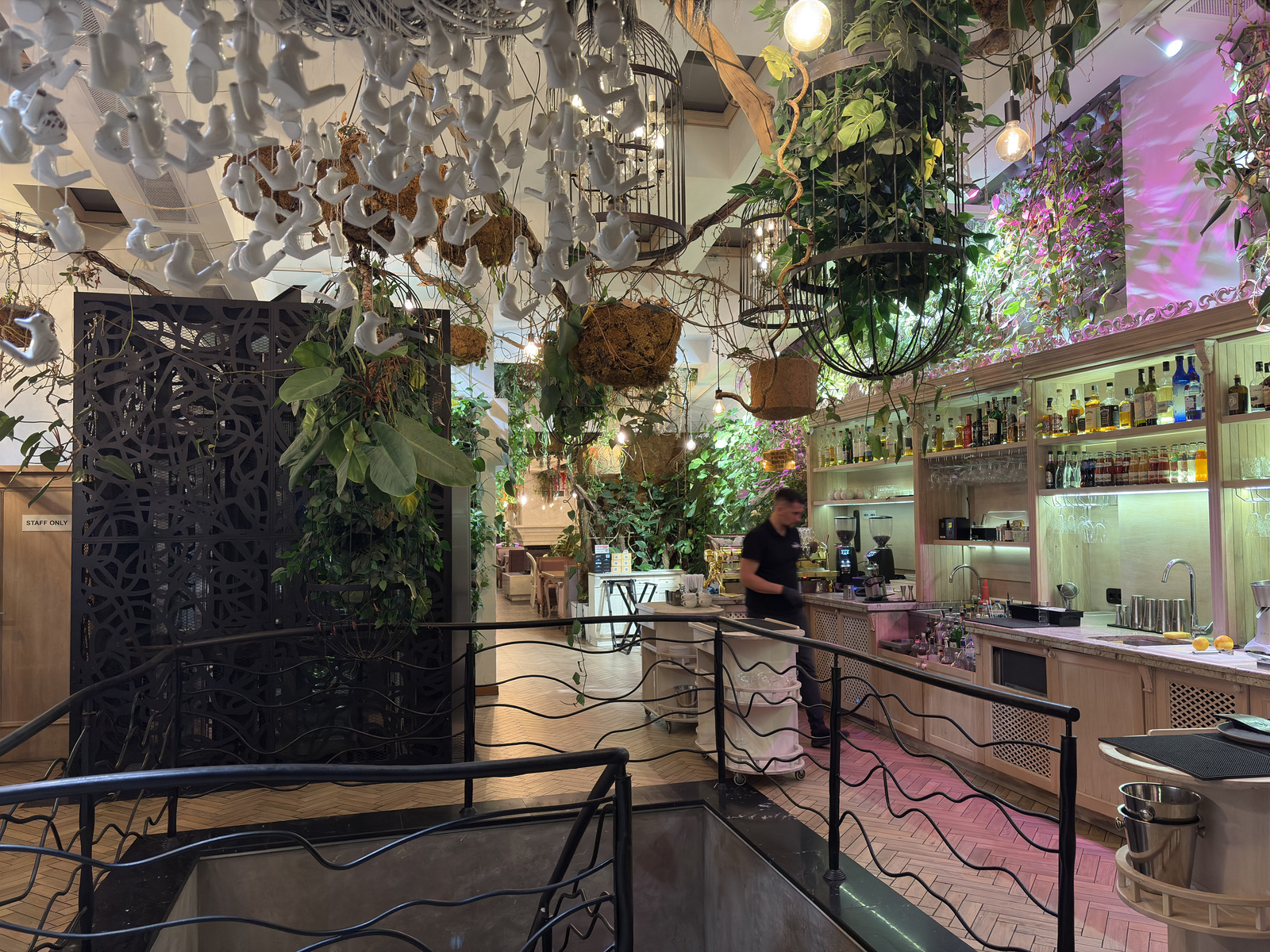 Picture Ukraine Lviv Restaurants 2024-10 102 - Travels Restaurants