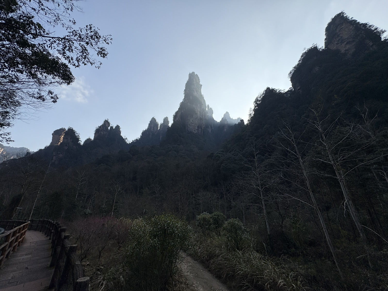 Picture China Zhangjiajie Tianzi Mountrain 2026-01 29 - Flight Tianzi Mountrain