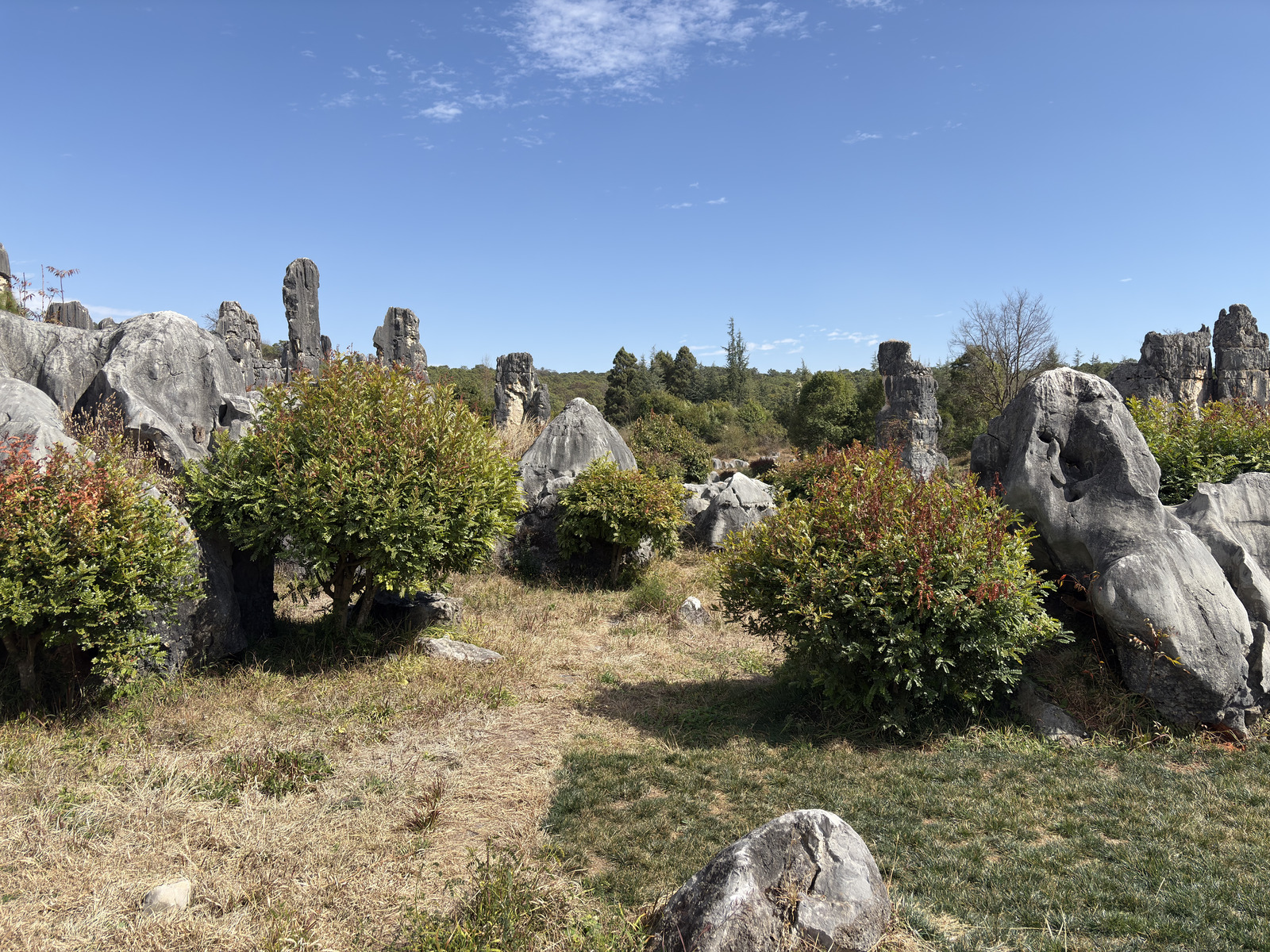 Picture China Shilin Stone Forest 2026-01 192 - Store Shilin Stone Forest