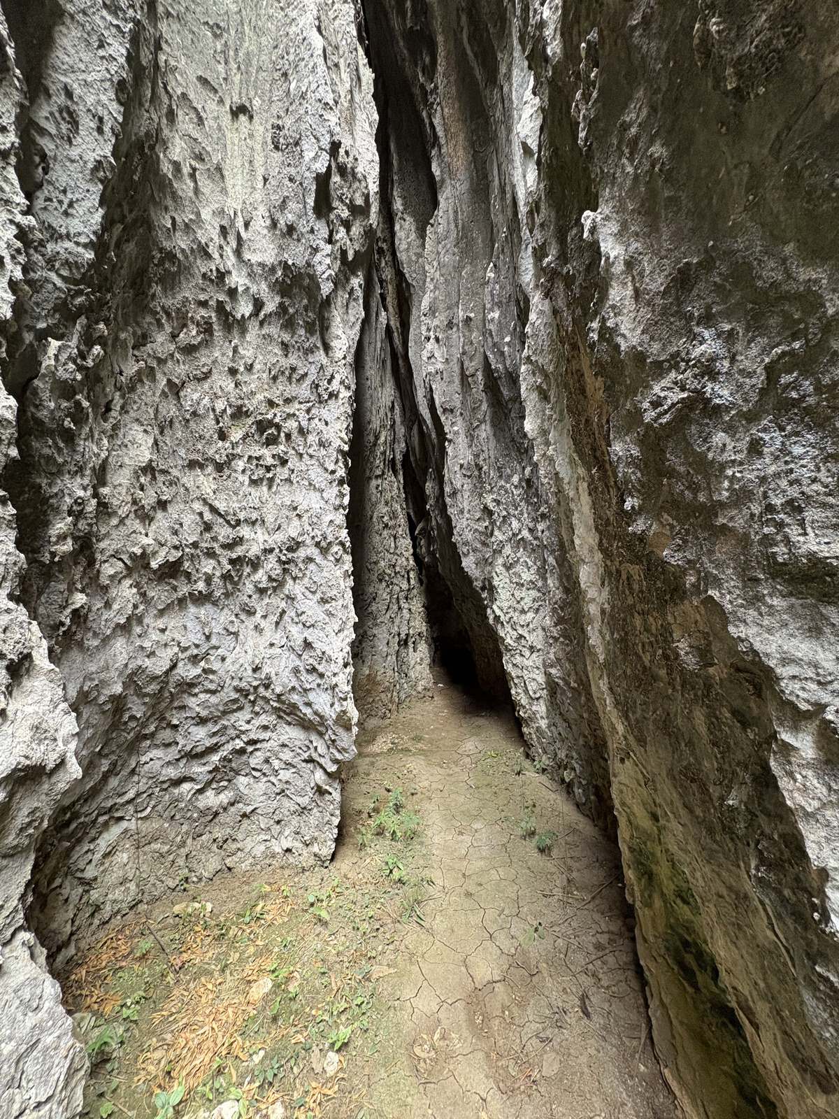Picture China Shilin Stone Forest 2026-01 374 - Visit Shilin Stone Forest