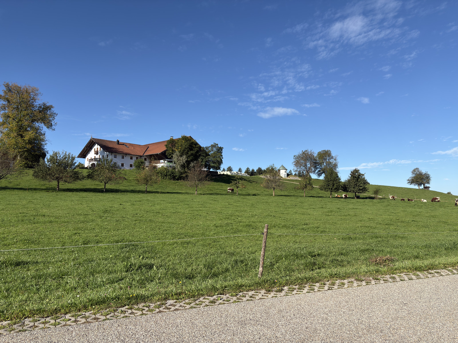Picture Germany Surberg 2025-09 1 - Picture Surberg