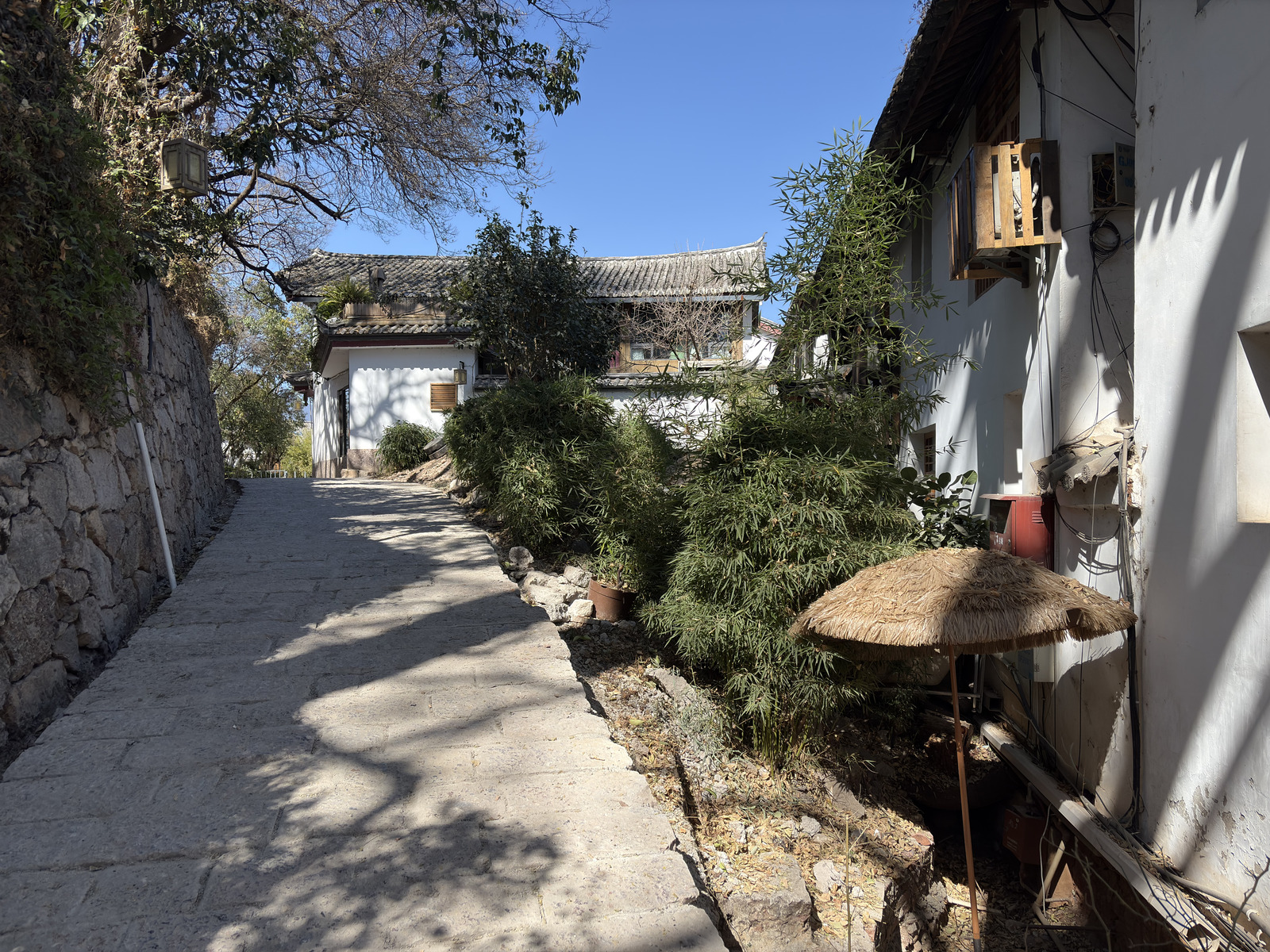 Picture China Lijiang 2026-01 42 - Perspective Lijiang