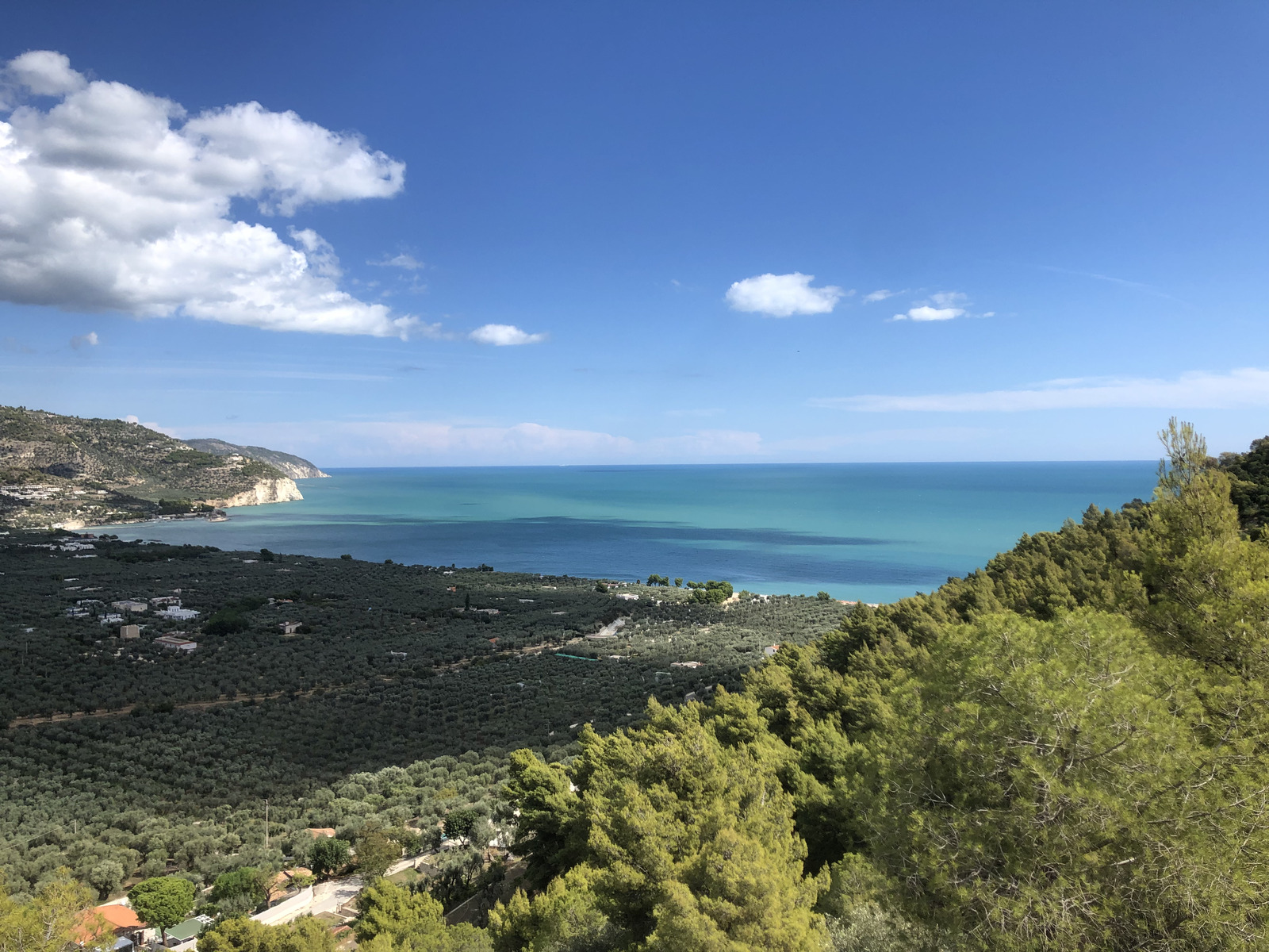 Picture Italy Gargano 2024-09 90 - Views Gargano