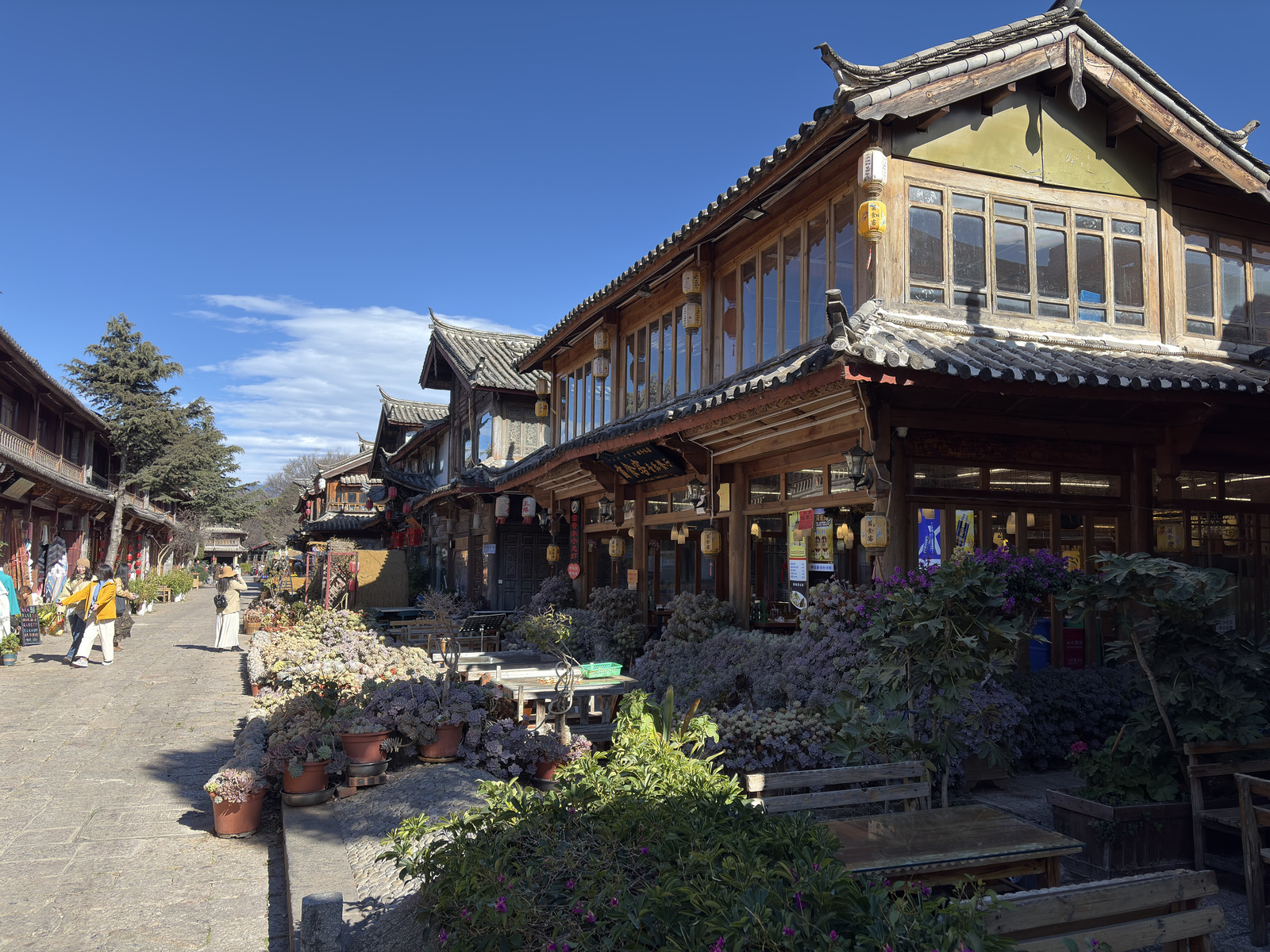 Picture China Lijiang 2026-01 734 - Visit Lijiang