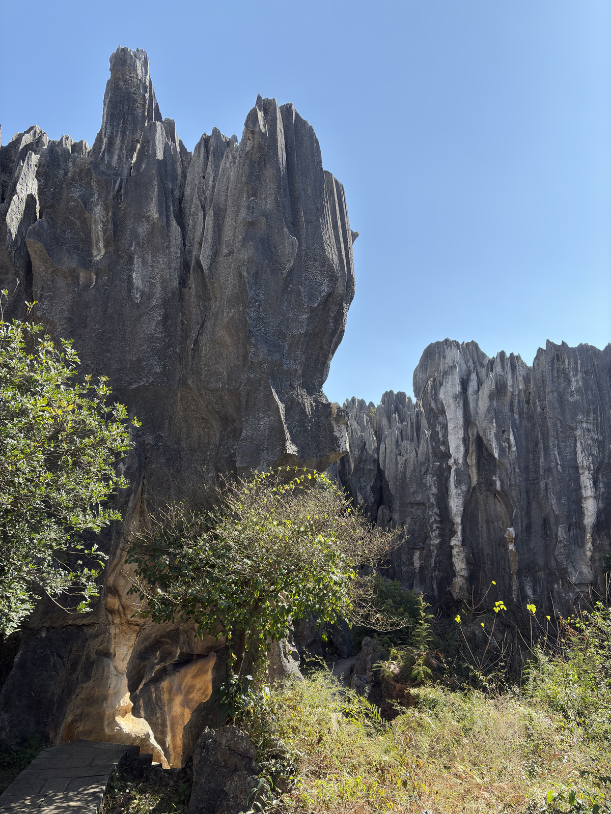 Picture China Shilin Stone Forest 2026-01 228 - Travels Shilin Stone Forest