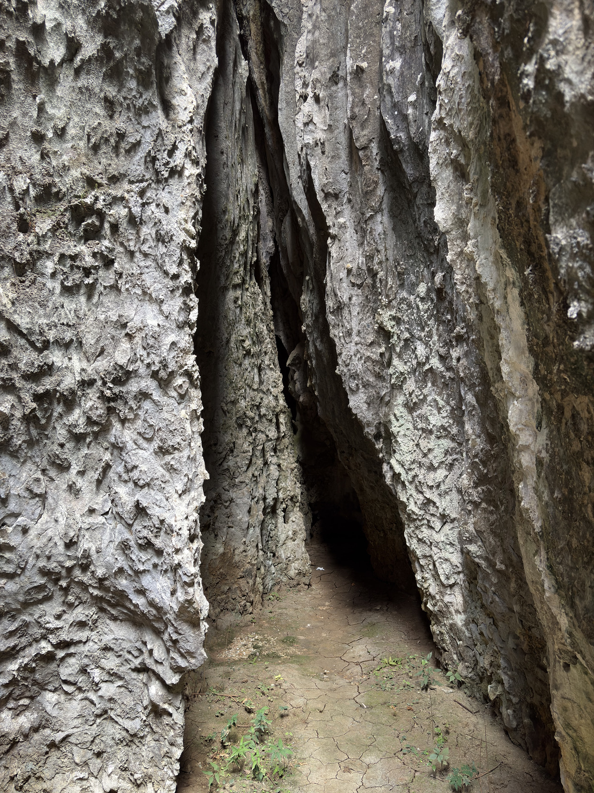 Picture China Shilin Stone Forest 2026-01 324 - Views Shilin Stone Forest