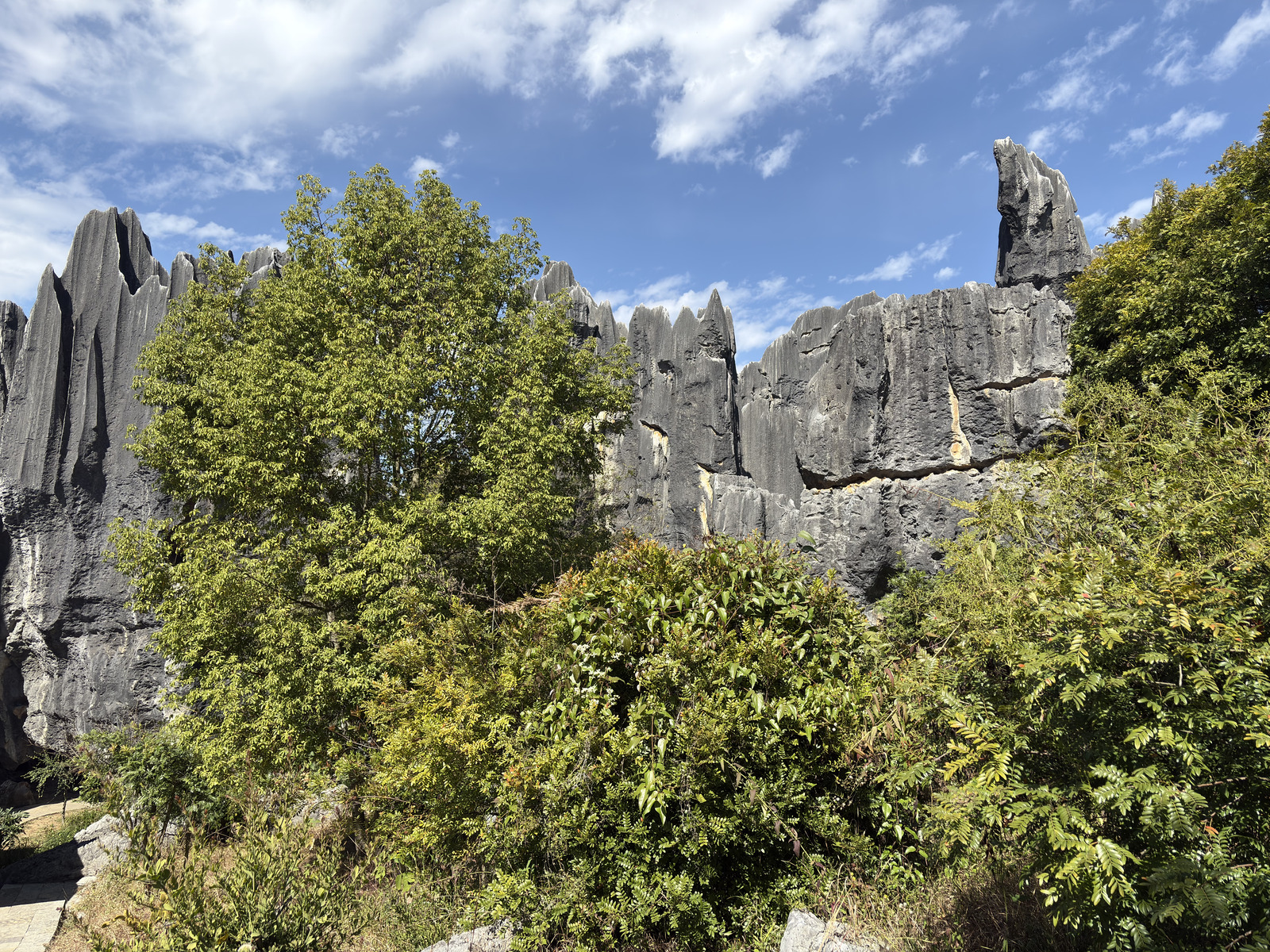Picture China Shilin Stone Forest 2026-01 391 - Travels Shilin Stone Forest