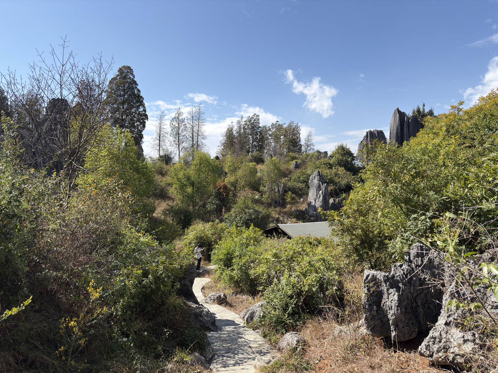 Picture China Shilin Stone Forest 2026-01 305 - Photographers Shilin Stone Forest