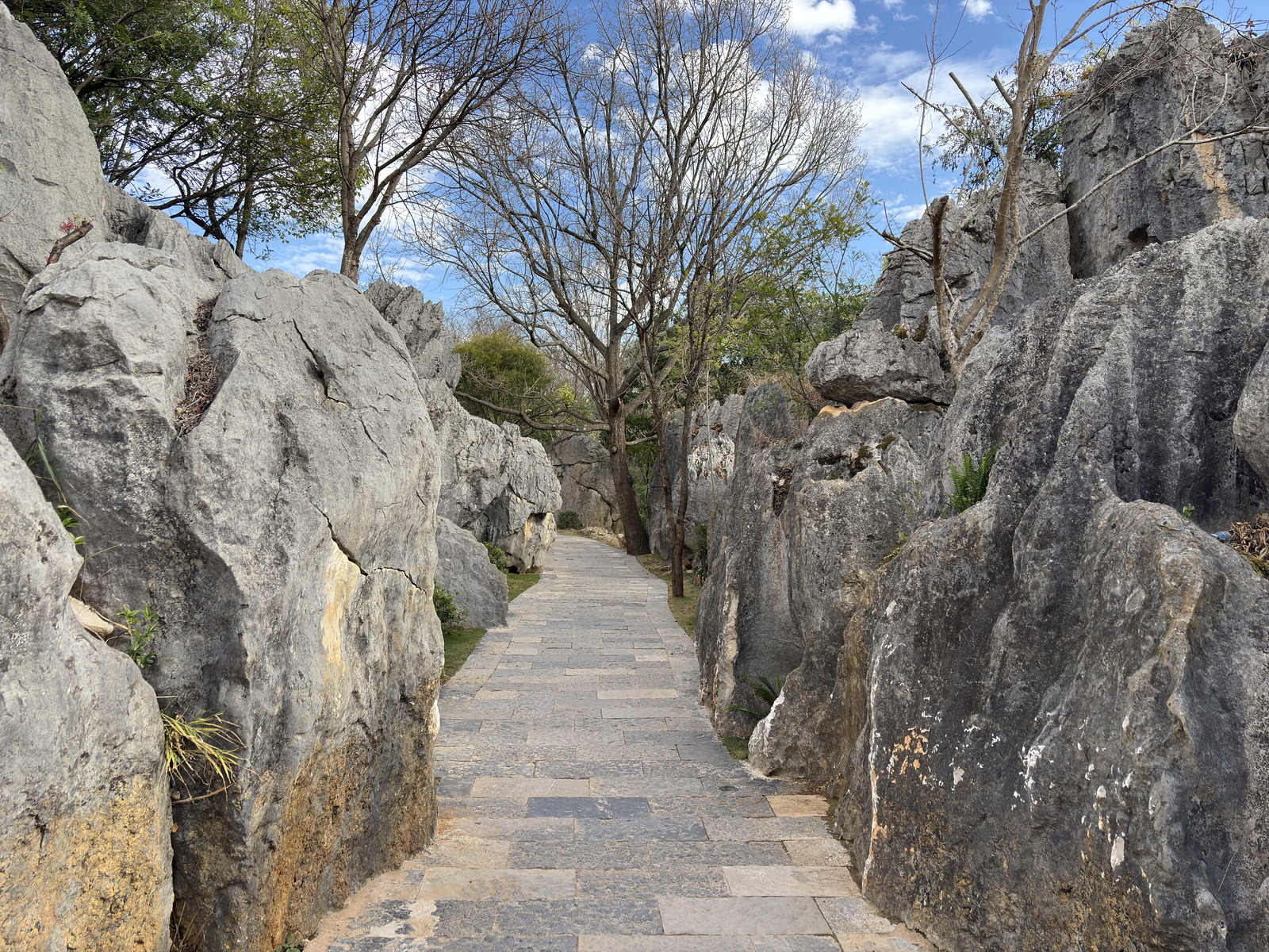 Picture China Shilin Stone Forest 2026-01 313 - Picture Shilin Stone Forest