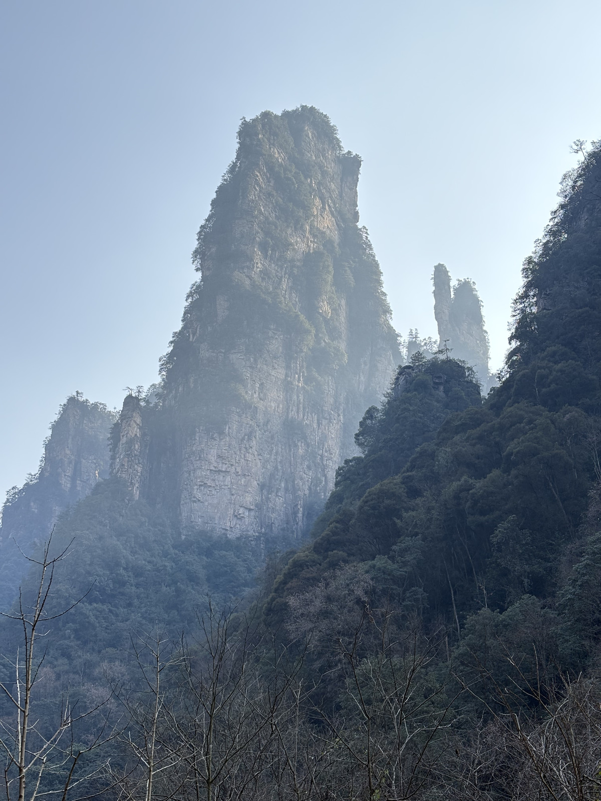 Picture China Zhangjiajie Tianzi Mountrain 2026-01 180 - Journey Tianzi Mountrain