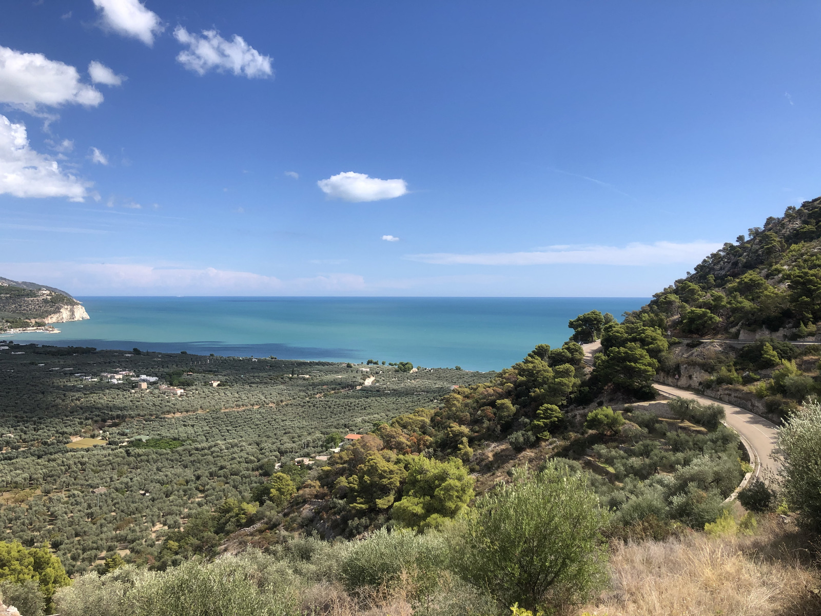 Picture Italy Gargano 2024-09 34 - Picture Gargano