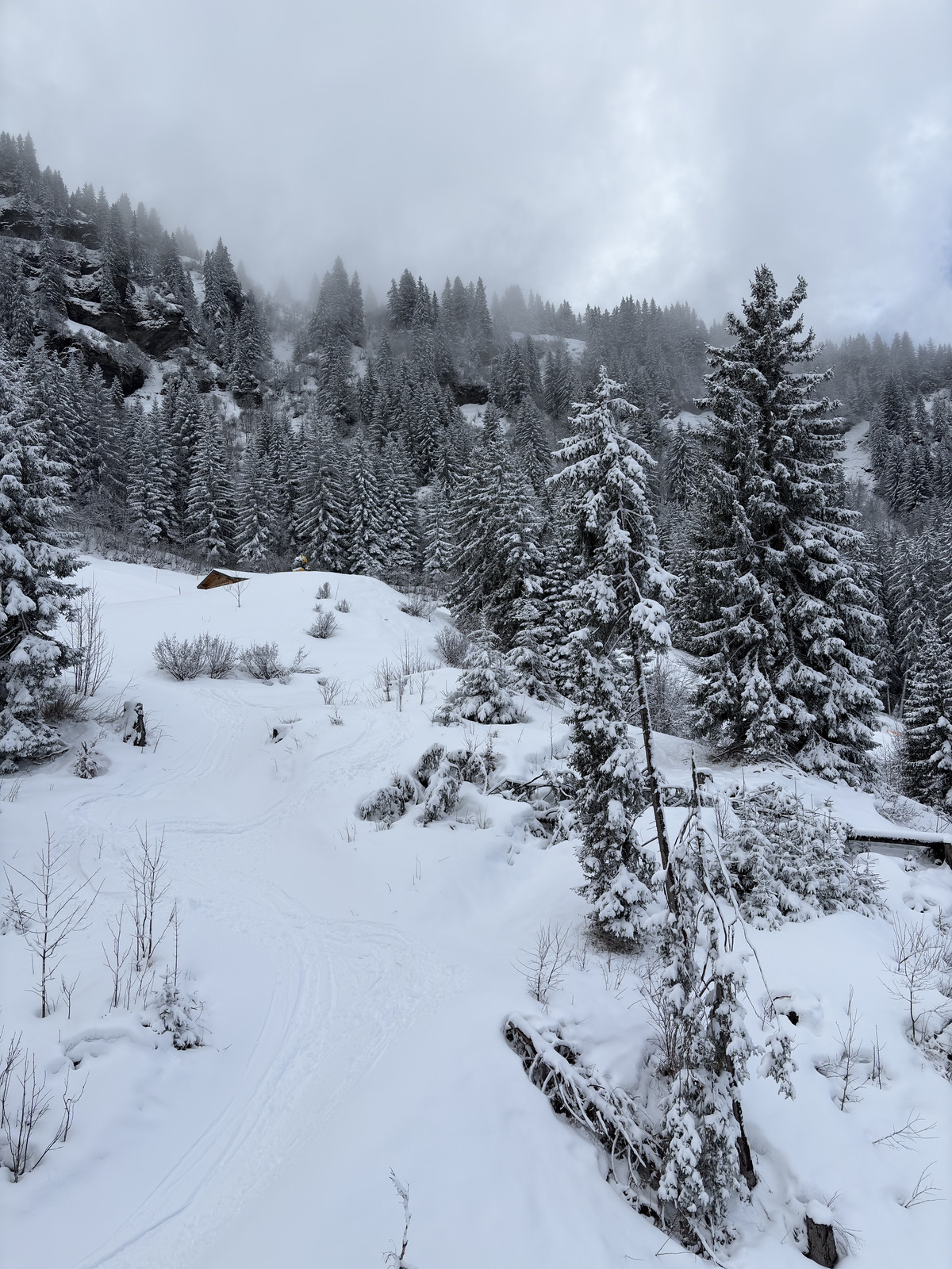 Picture France Praz sur Arly 2025-02 96 - Sightseeing Praz sur Arly