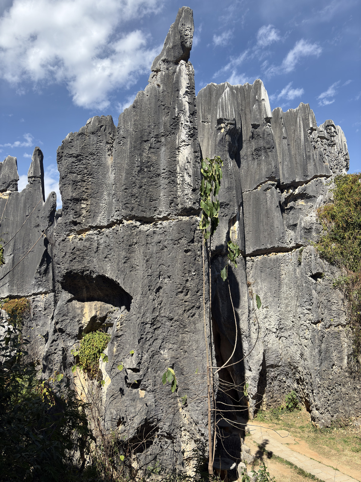 Picture China Shilin Stone Forest 2026-01 21 - Visit Shilin Stone Forest