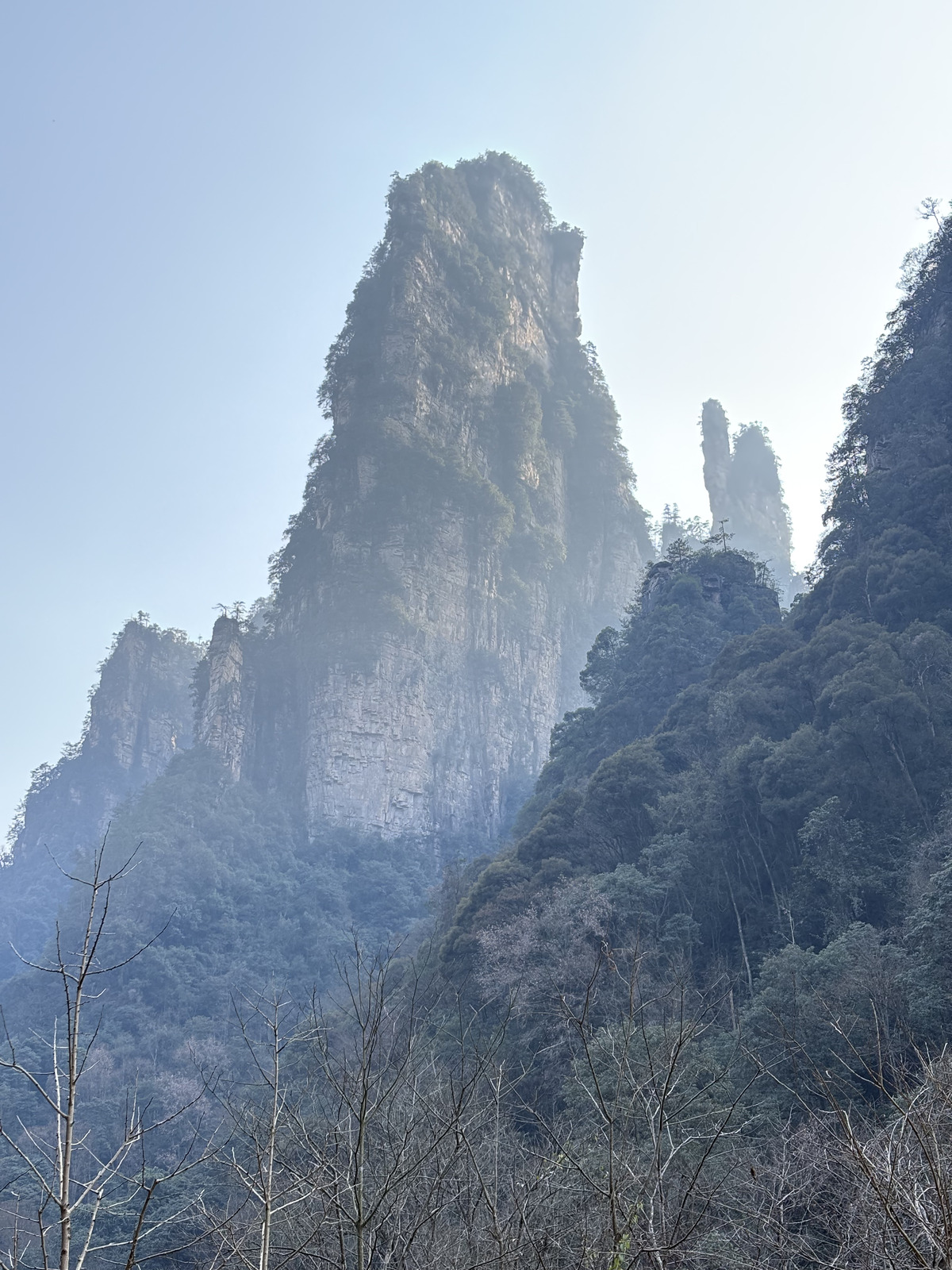 Picture China Zhangjiajie Tianzi Mountrain 2026-01 148 - Photo Tianzi Mountrain