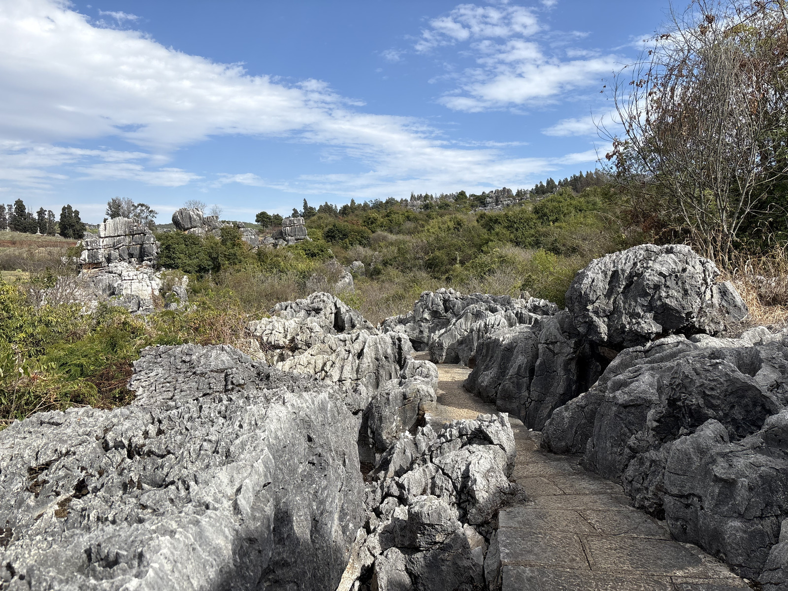 Picture China Shilin Stone Forest 2026-01 361 - Sight Shilin Stone Forest