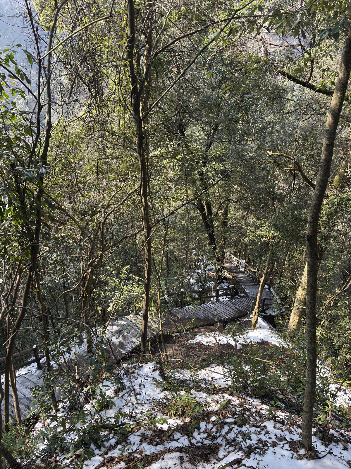 Picture China Zhangjiajie Tianzi Mountrain 2026-01 50 - Perspective Tianzi Mountrain