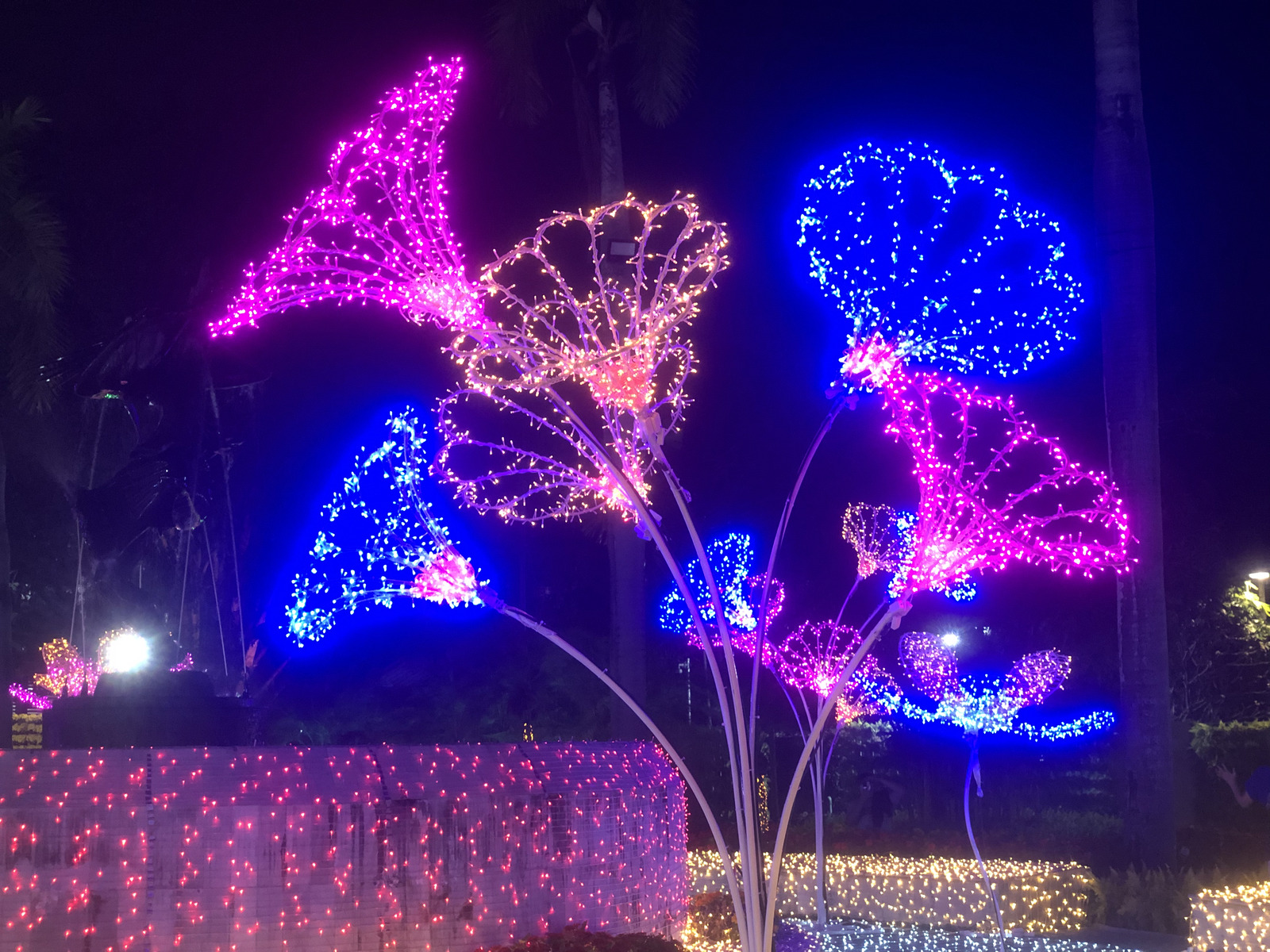 Picture Thailand Chiang Mai Nong Buak Haad Public Park 2024-01 52 - Trip Nong Buak Haad Public Park