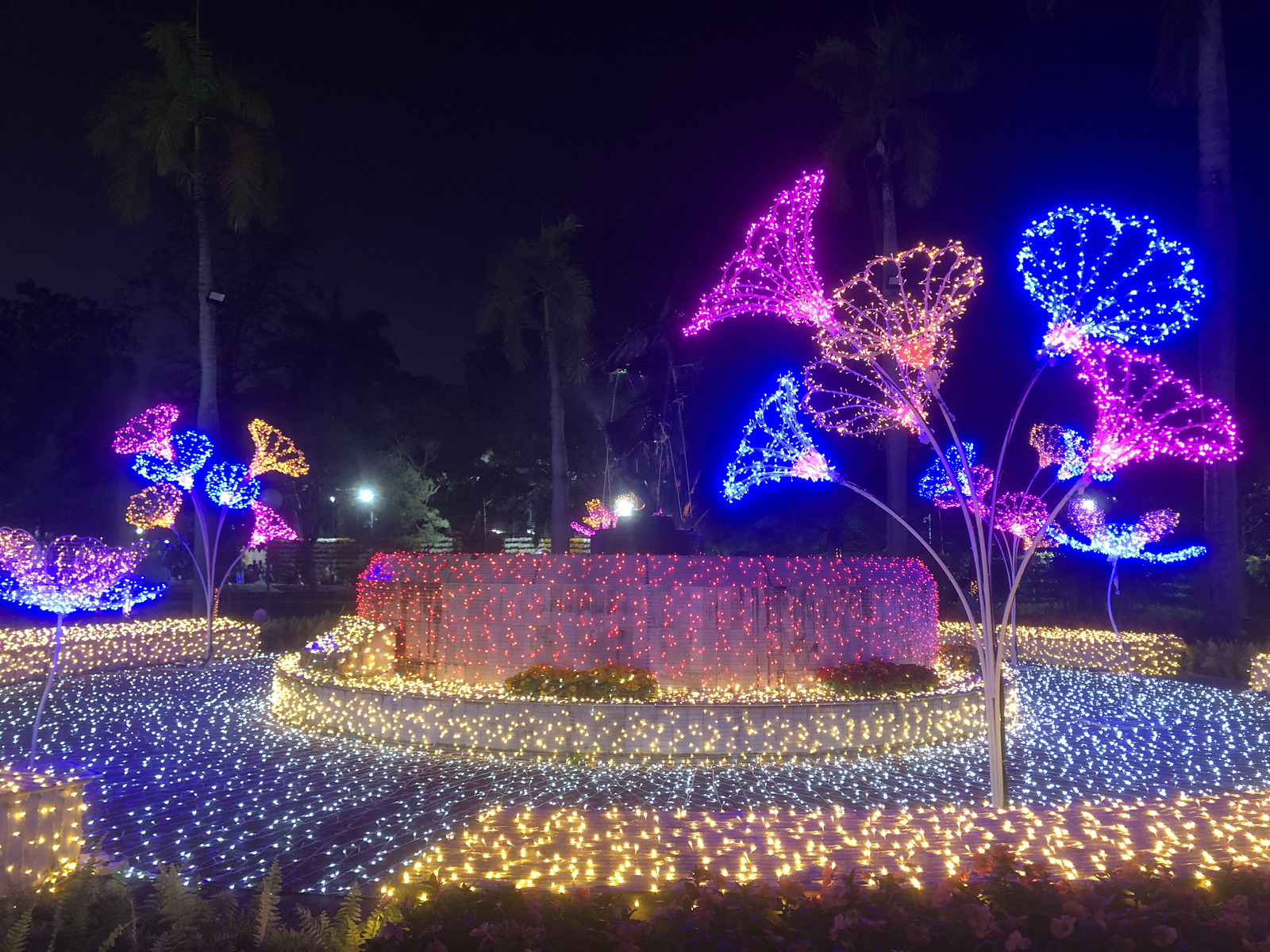 Picture Thailand Chiang Mai Nong Buak Haad Public Park 2024-01 57 - Views Nong Buak Haad Public Park