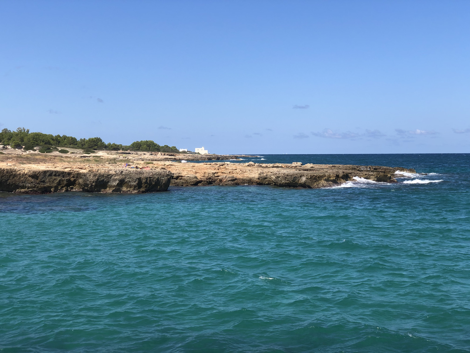 Picture Italy Monopoli 2024-09 78 - Tourist Attraction Monopoli