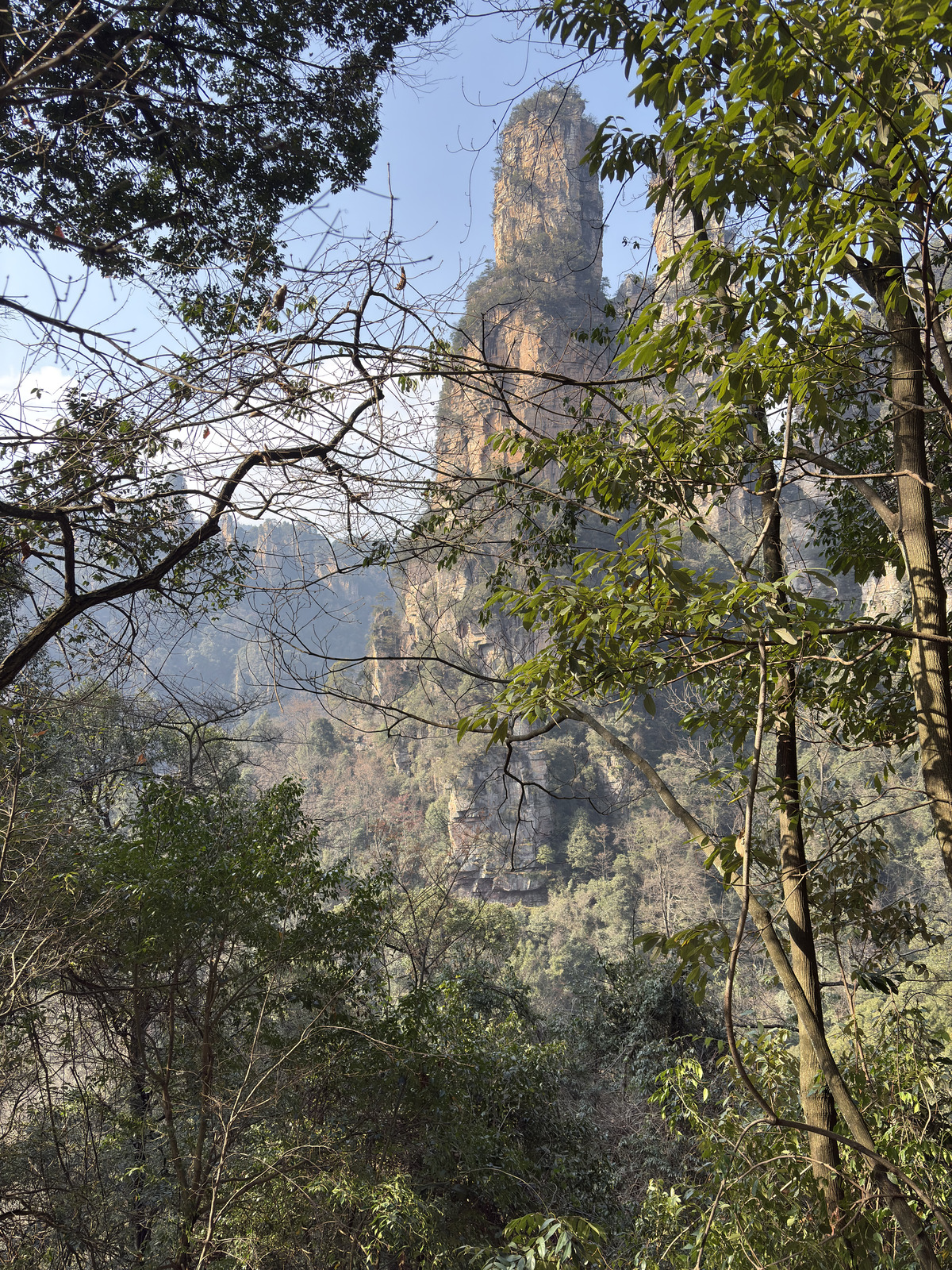 Picture China Zhangjiajie Tianzi Mountrain 2026-01 85 - Trip Tianzi Mountrain