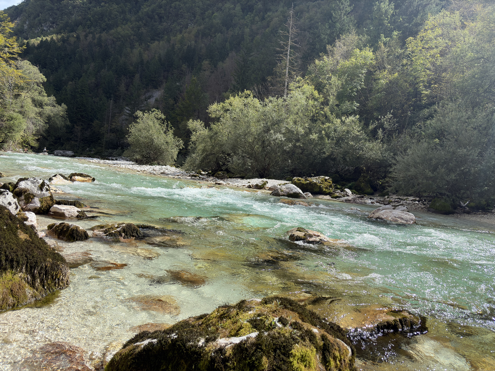 Picture Slovenia Soca River 2025-09 250 - Photos Soca River