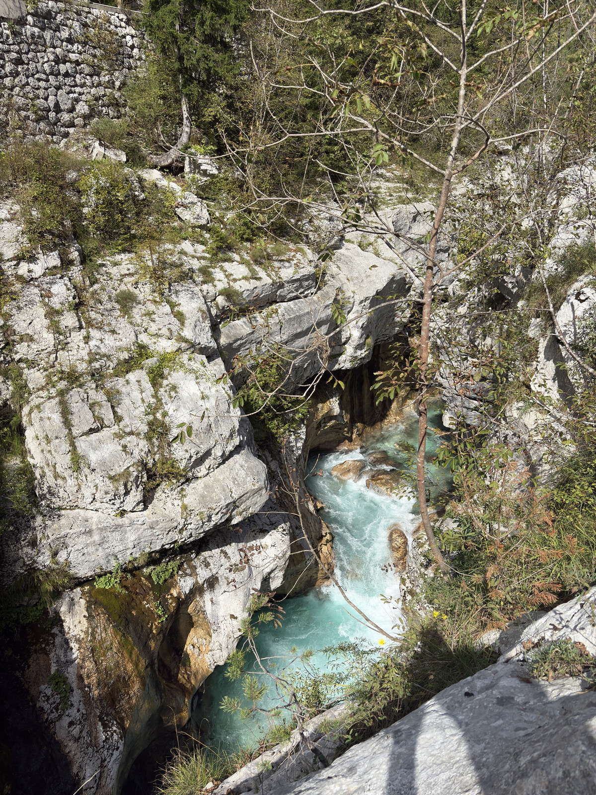 Picture Slovenia Soca River 2025-09 193 - Photographers Soca River